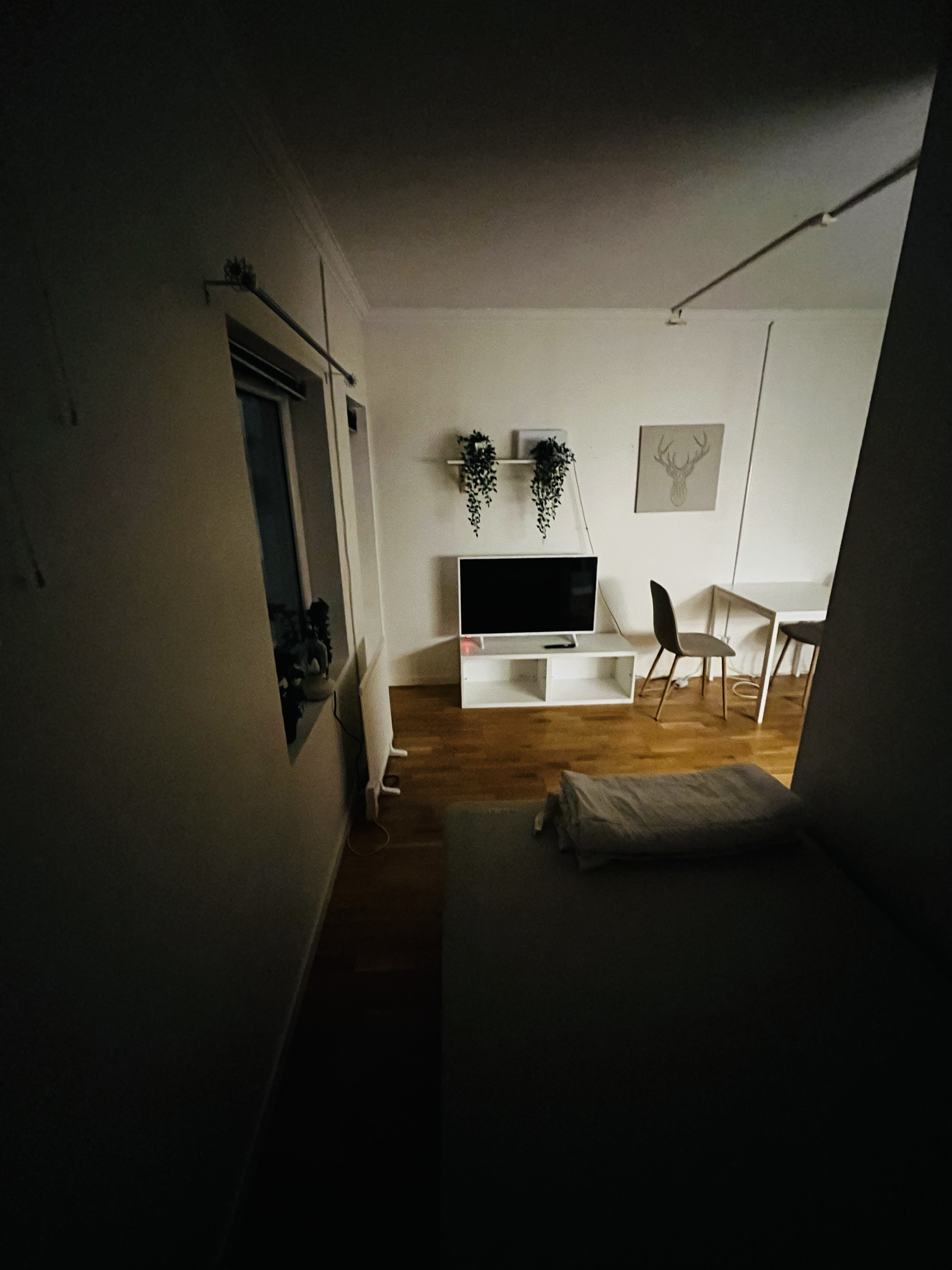 Hökvägen, Umeå — photo 4