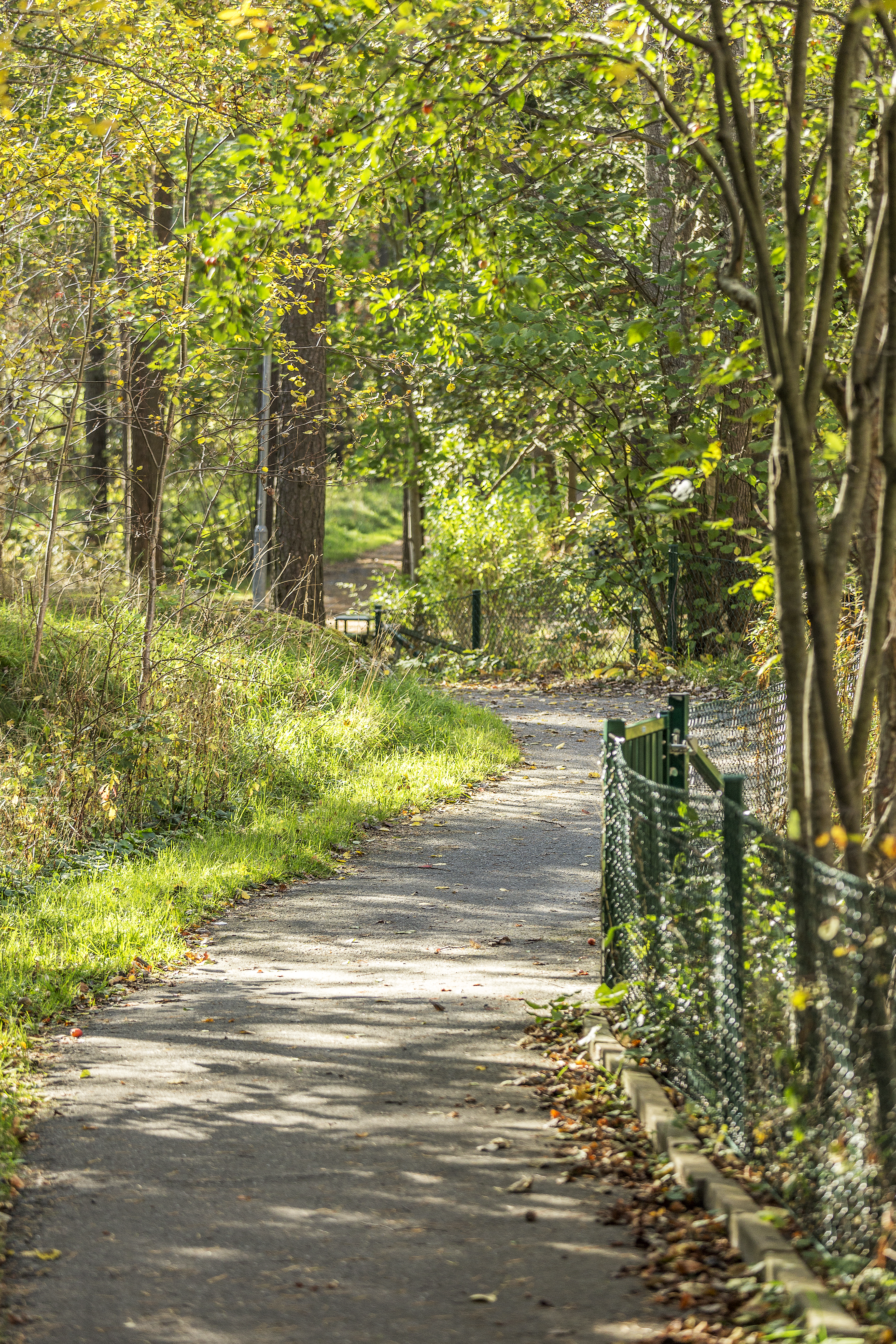 Bäverbäcksgränd 9, Bandhagen — photo 5
