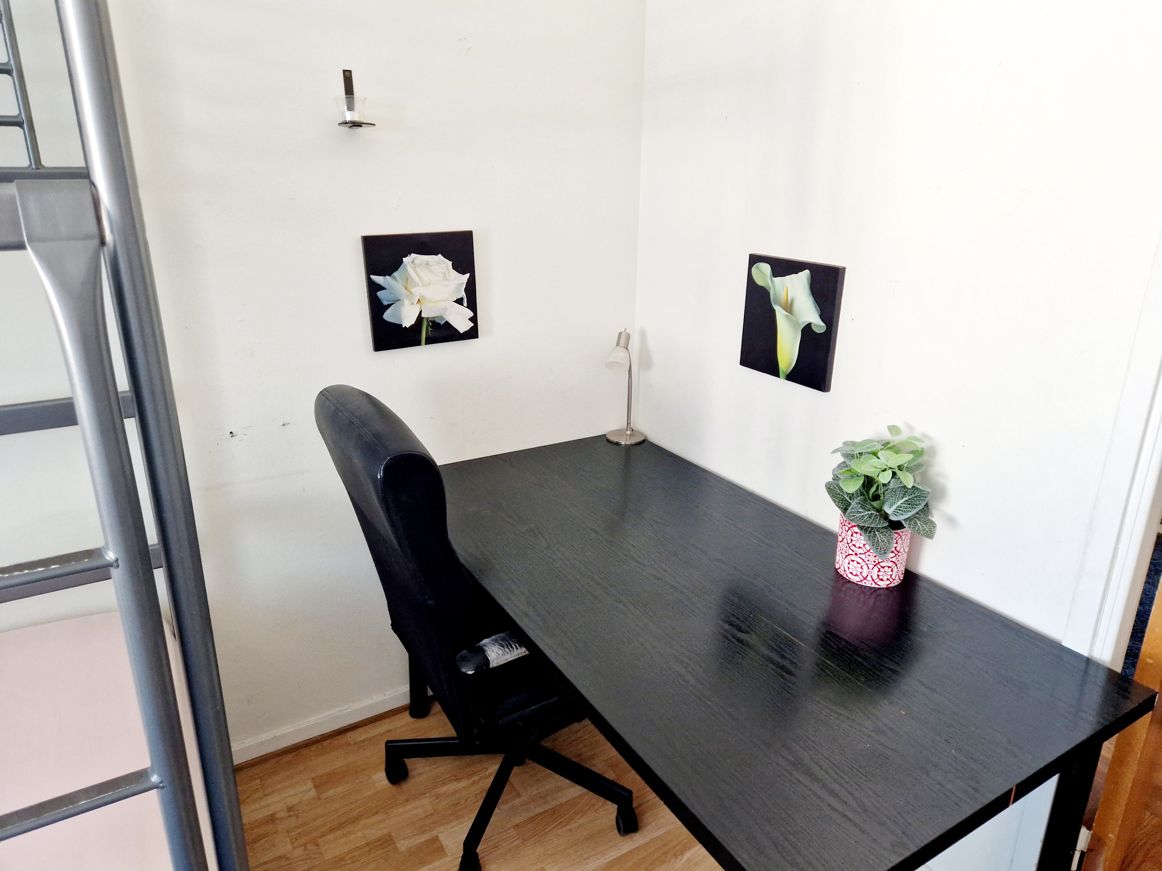 Dahlströmsgatan, Göteborg — photo 4