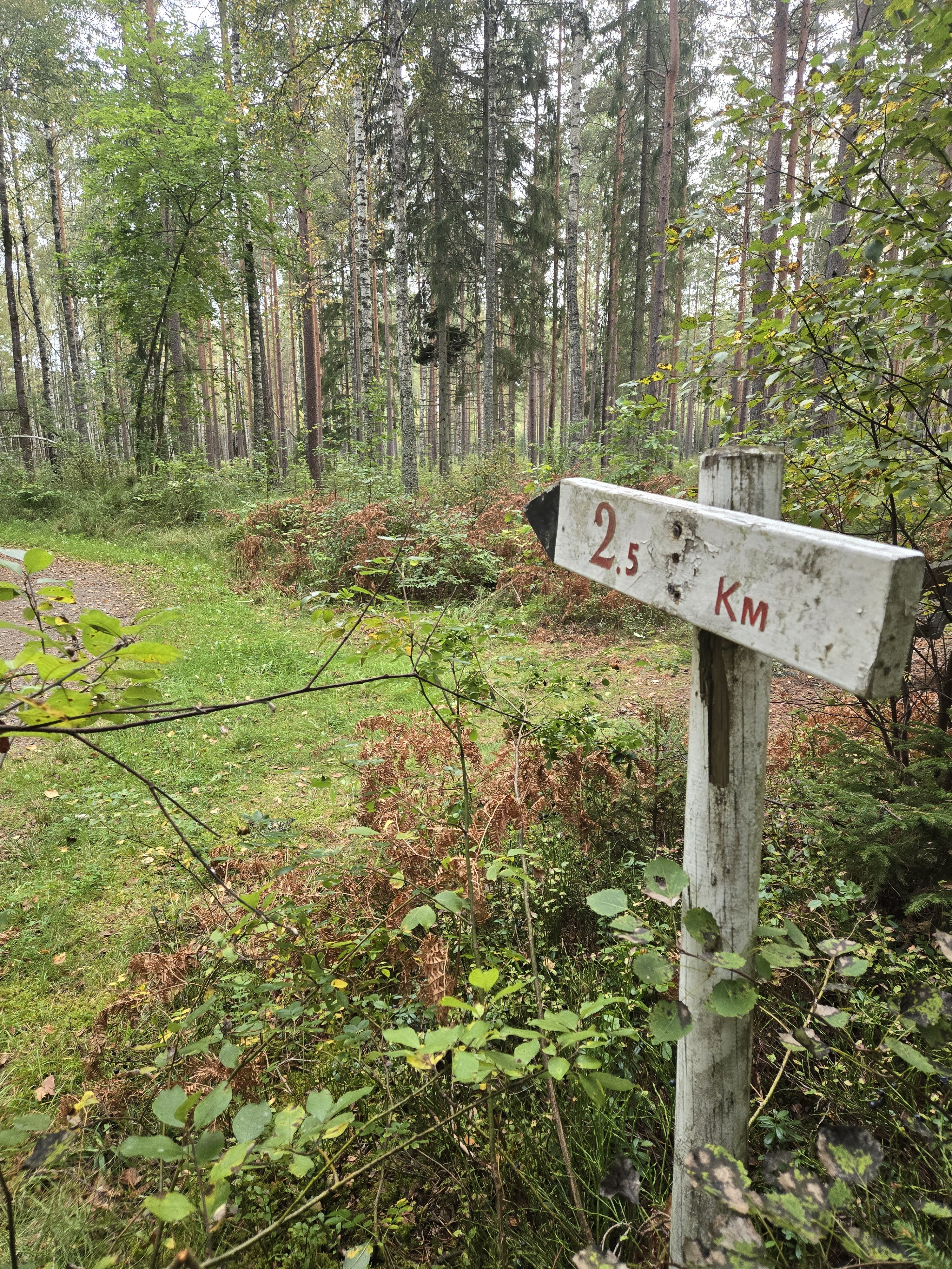 Persikogatan, Örebro — photo 4