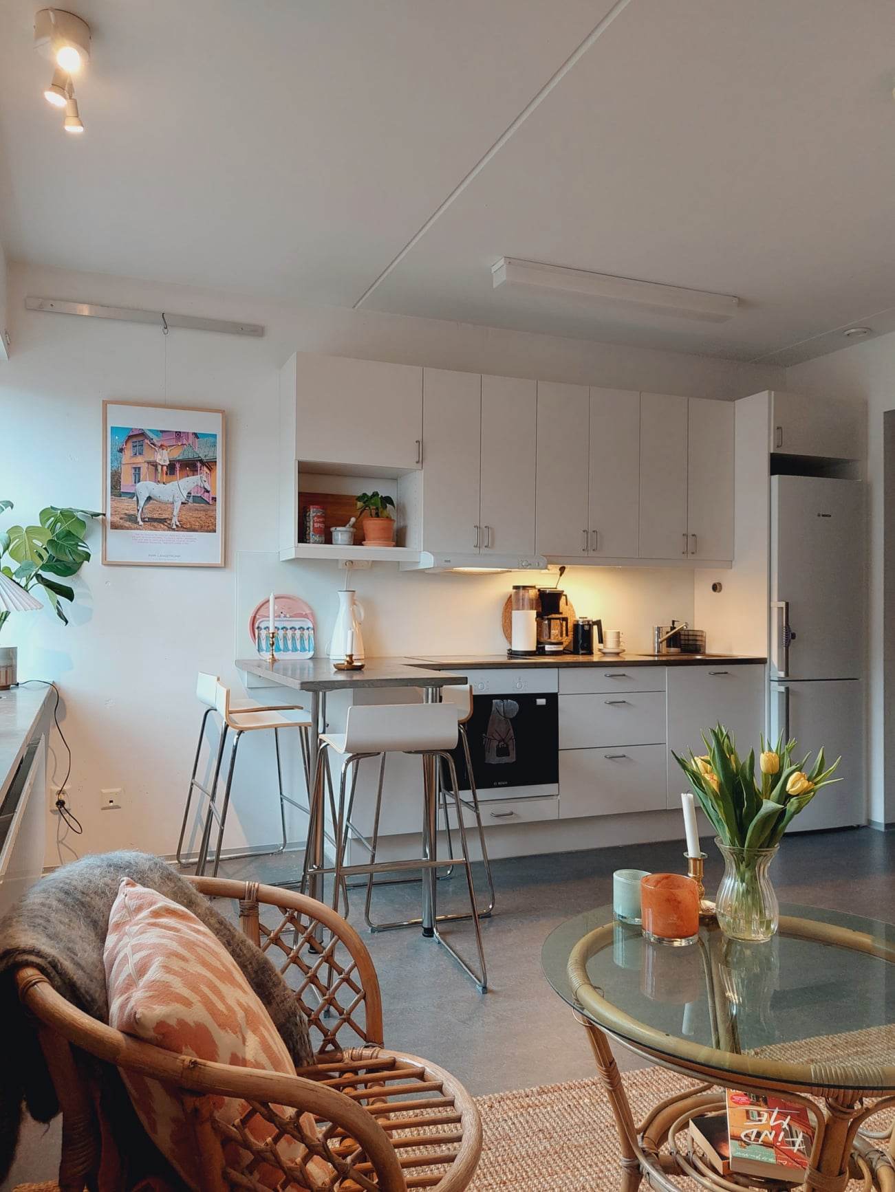 Arkivgatan, Lund Apartment Qasa