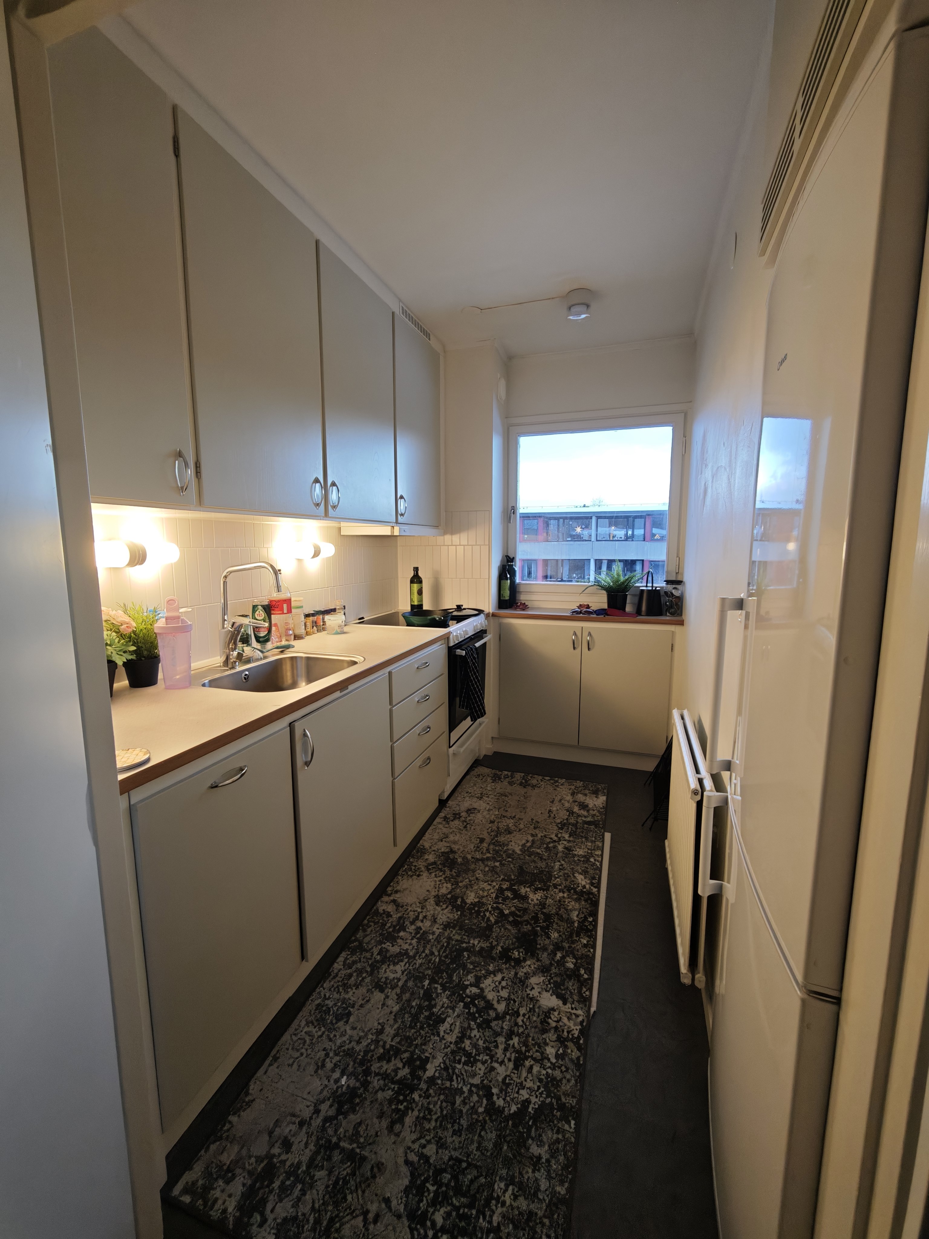 Vildandsvägen, Lund