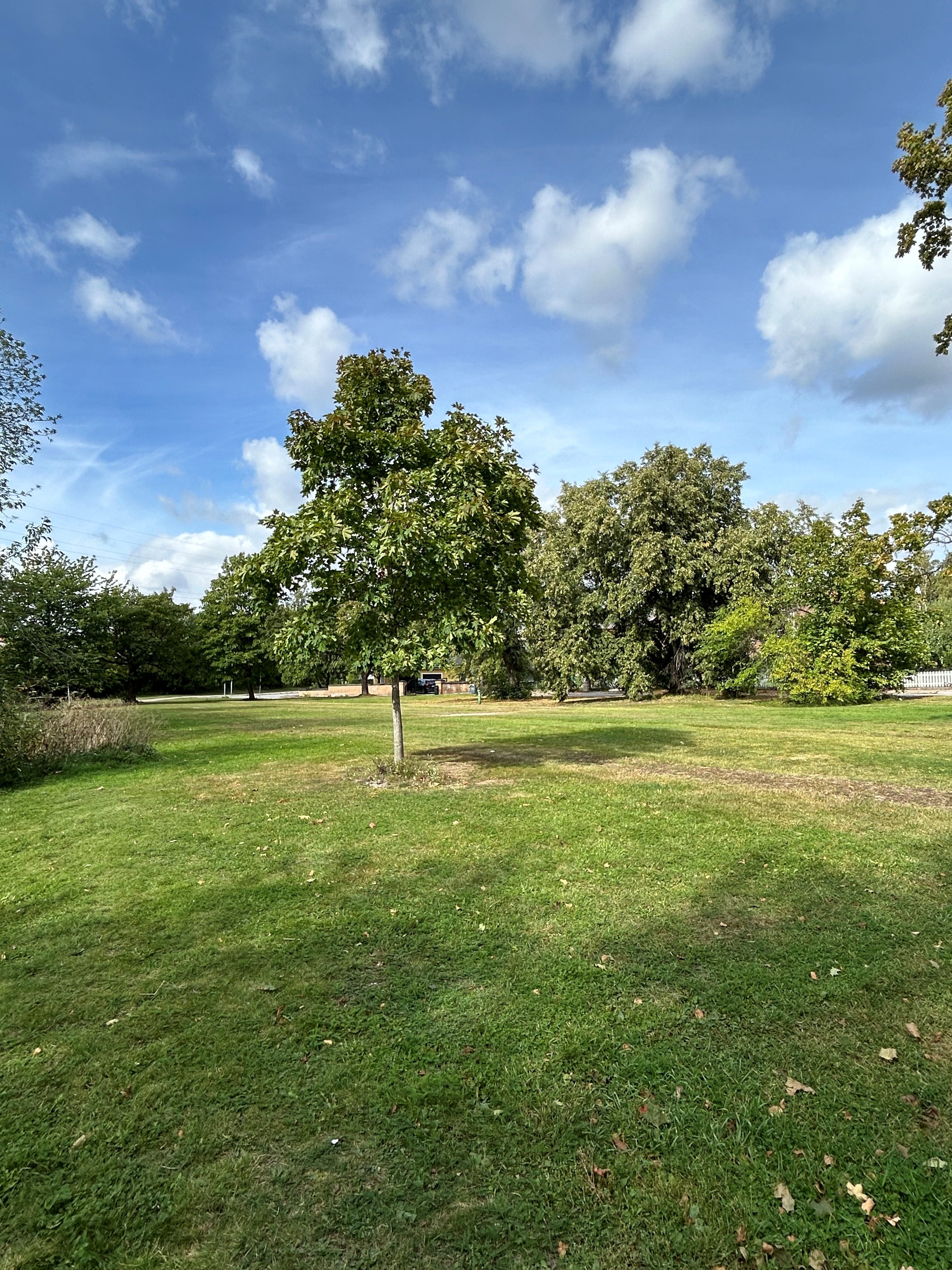 Skälängsgatan 5, Västerås — photo 3