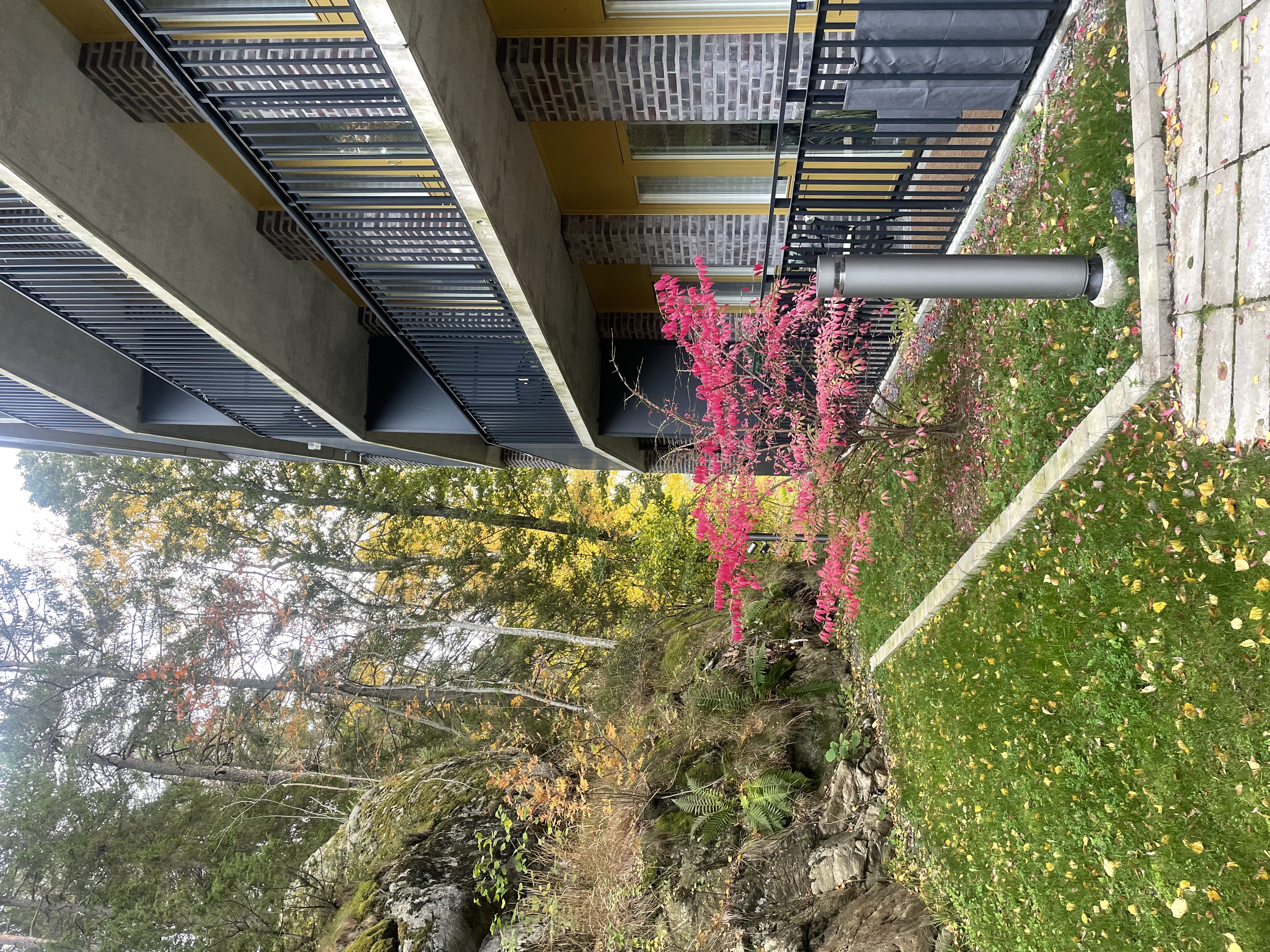 2 rok · 47 m² i Vega – bild 11