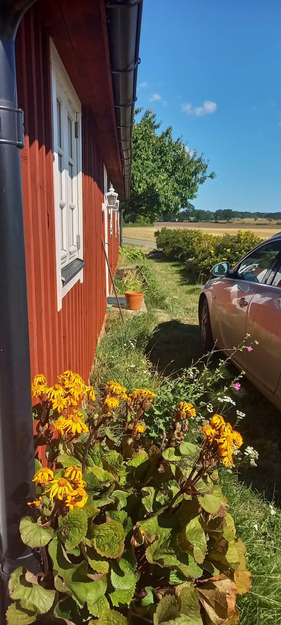 5 rok · 220 m² i Hörby – bild 3
