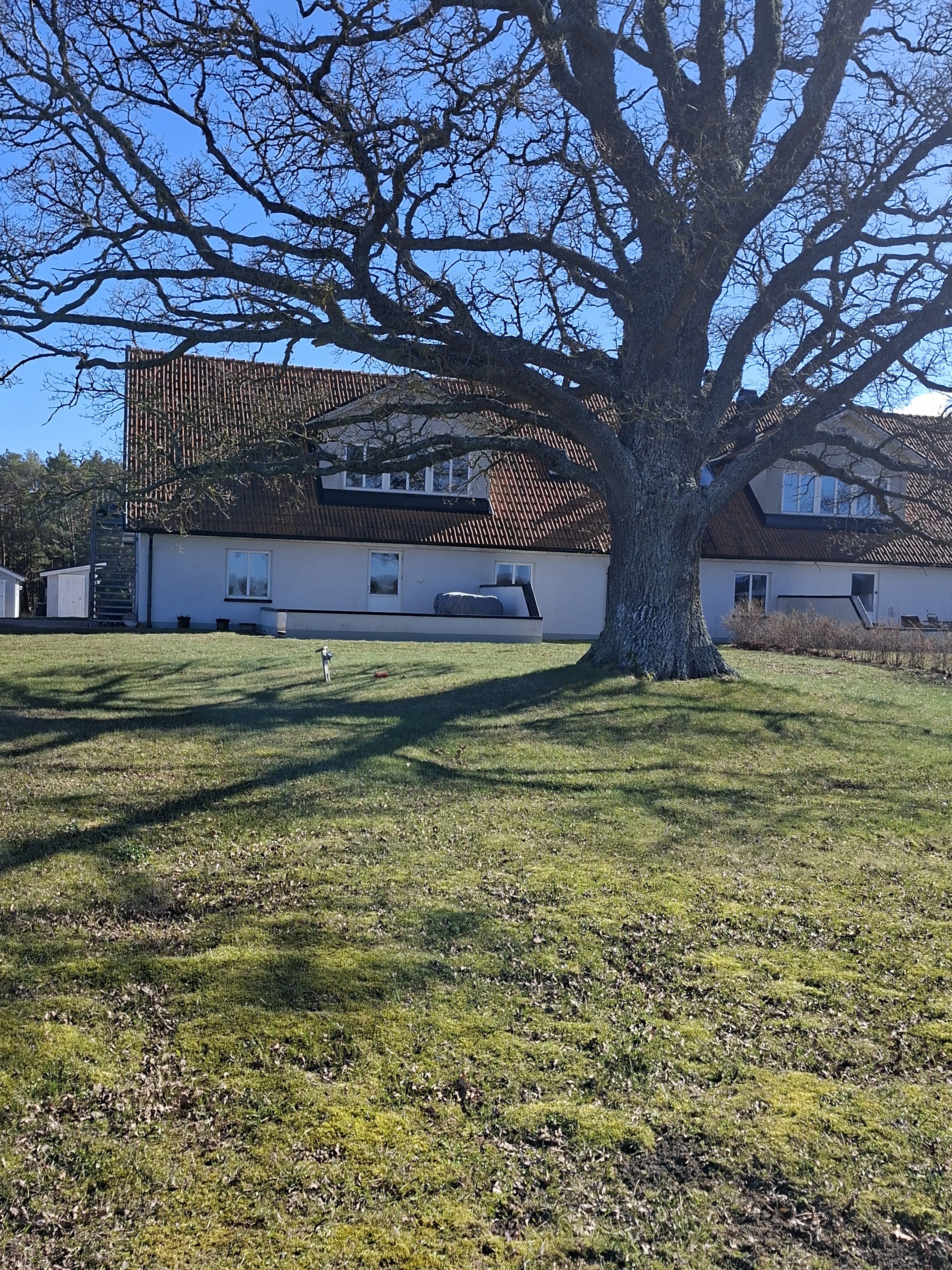 Duplex, 5 rooms, 125 sqm, Visby