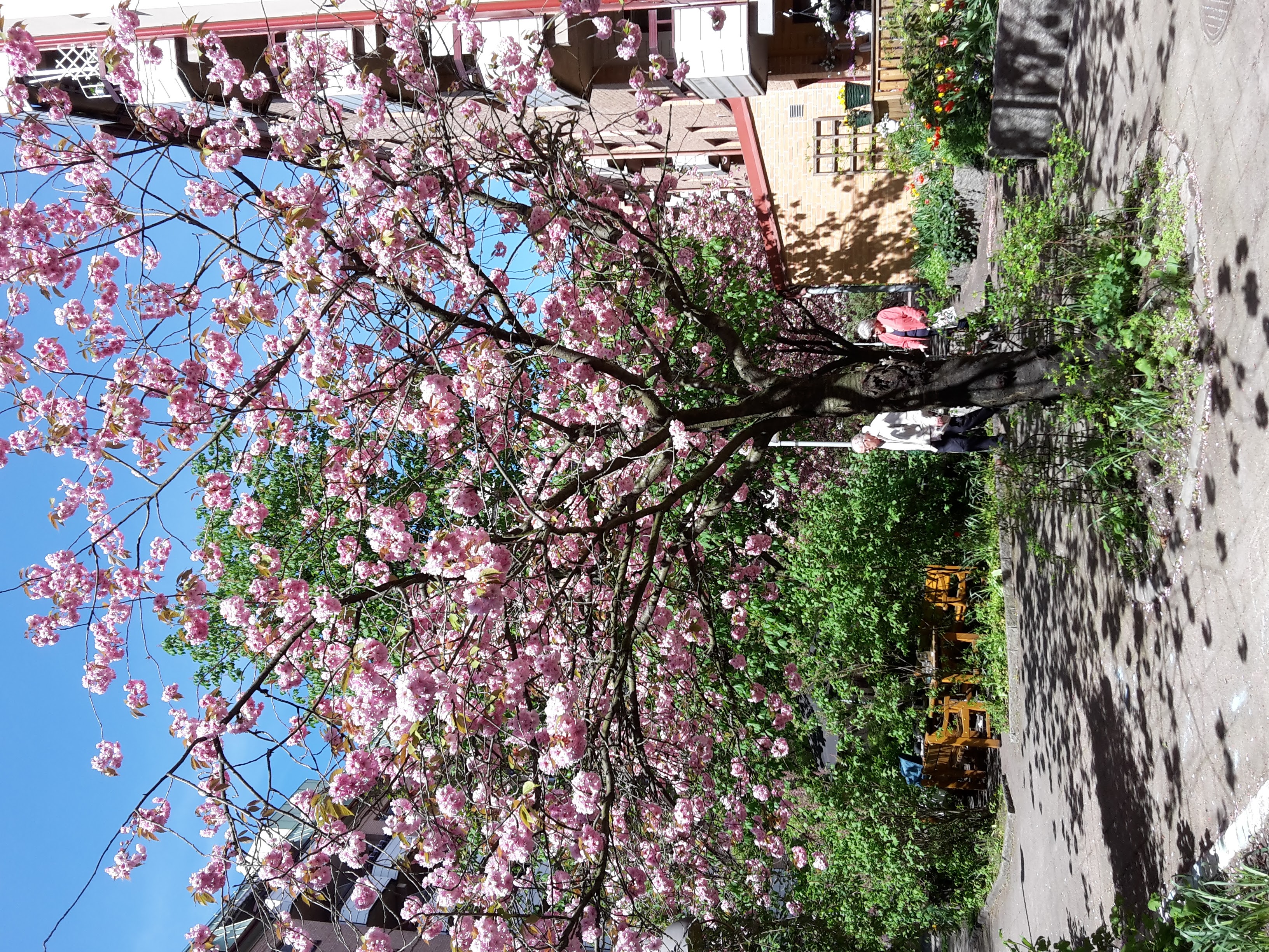 Landsvägsgatan, Göteborg