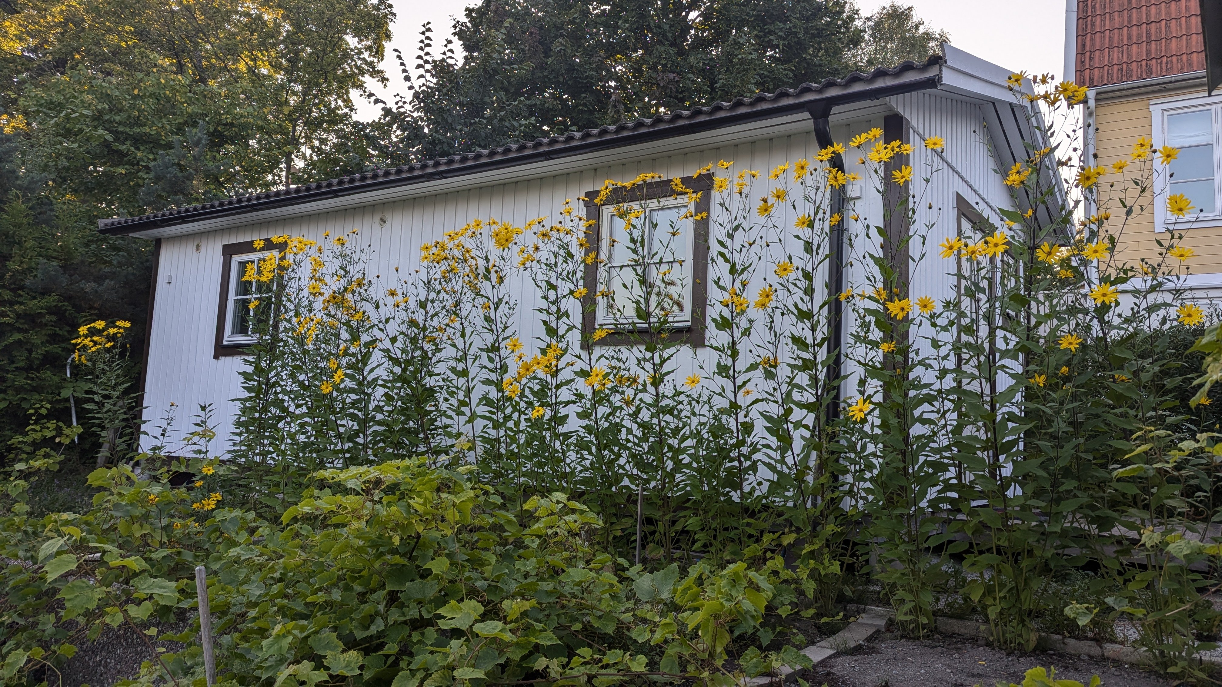2 rum, 30 m² i Spånga i Spånga — bild 1 av 7