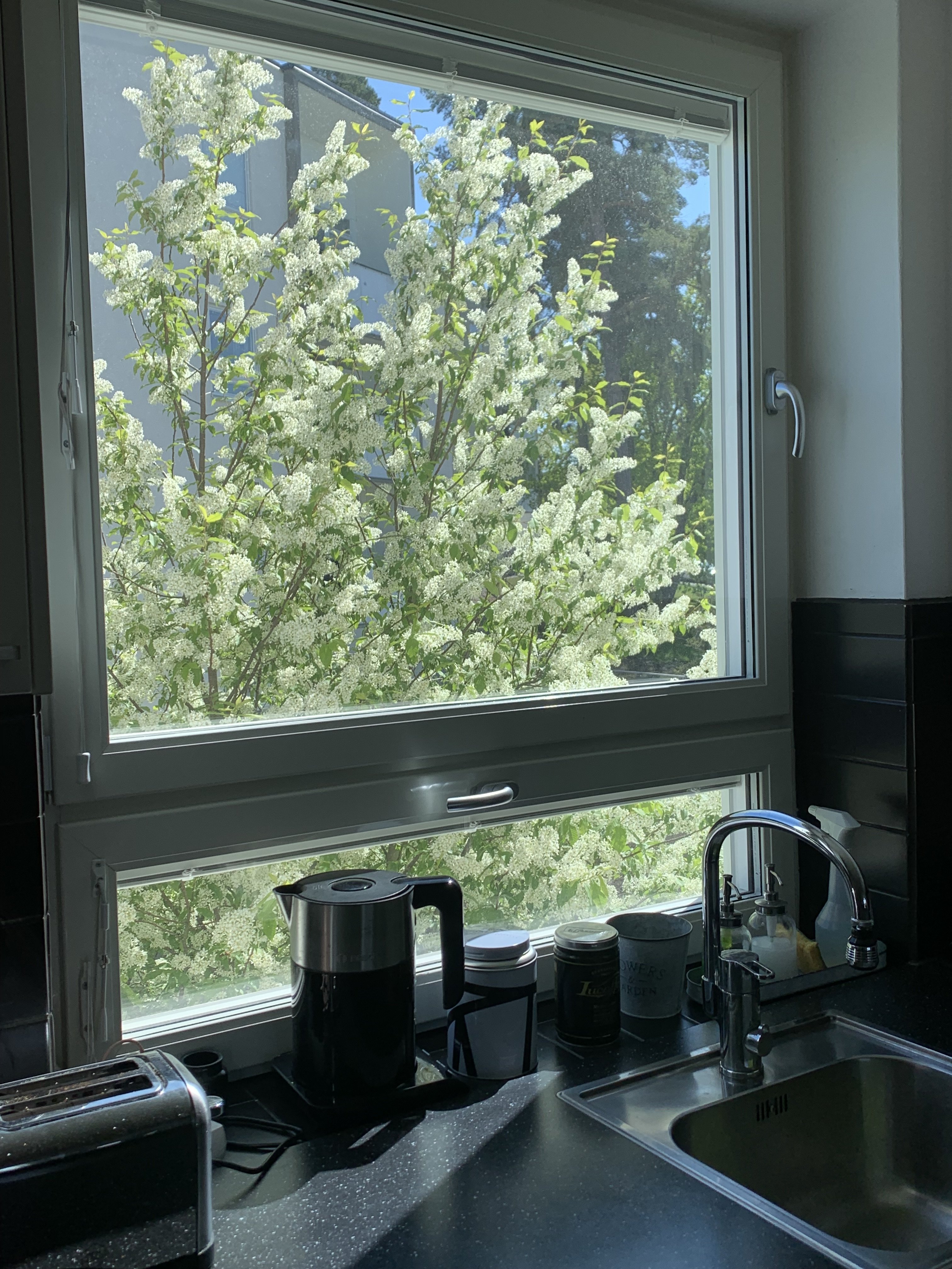 Mörsilsgatan, Vällingby — photo 5