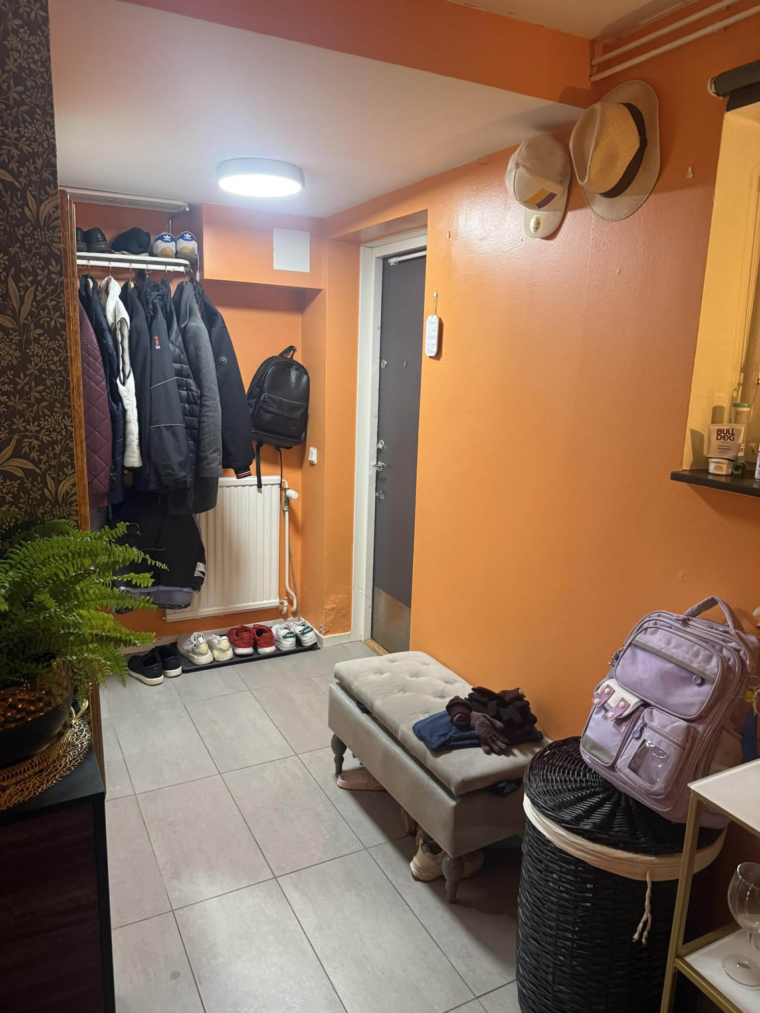 Kronetorpsgatan, Malmö — photo 4