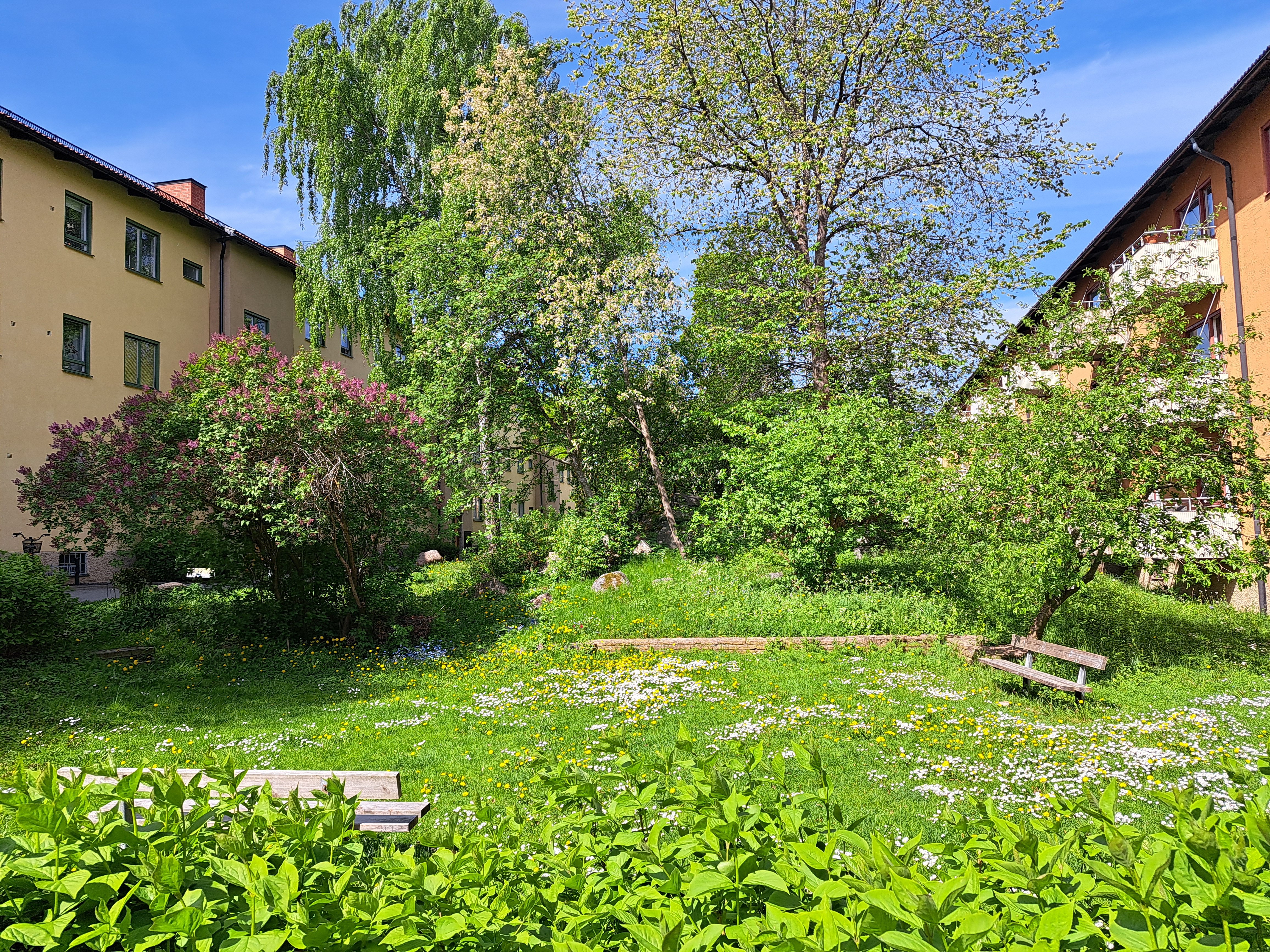 Dukvägen, Stockholm — photo 4