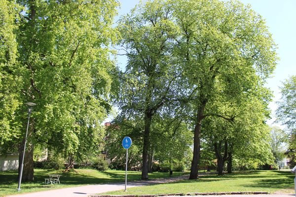 Karl Dahlgrensgatan, Linköping — photo 5