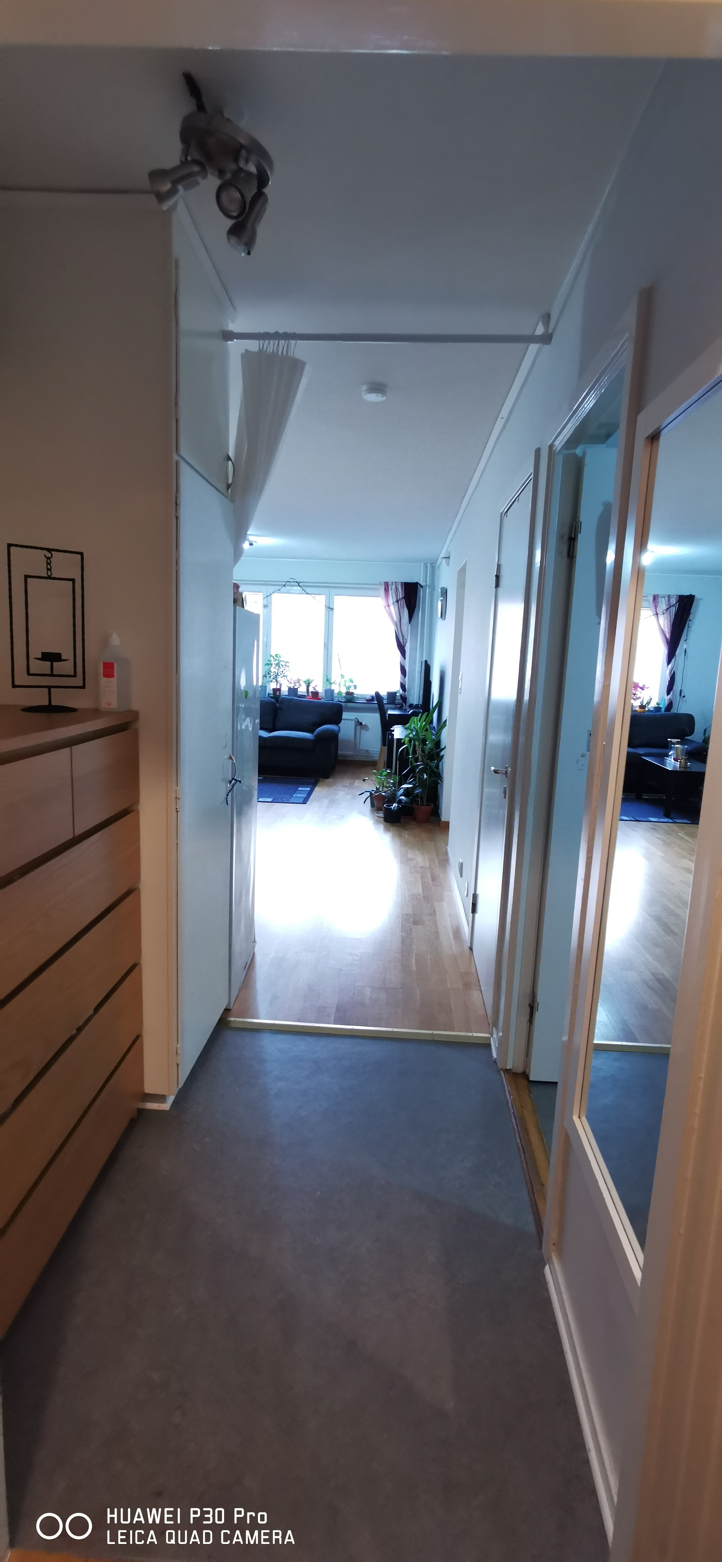 Fysikgränd, UMEÅ — photo 5