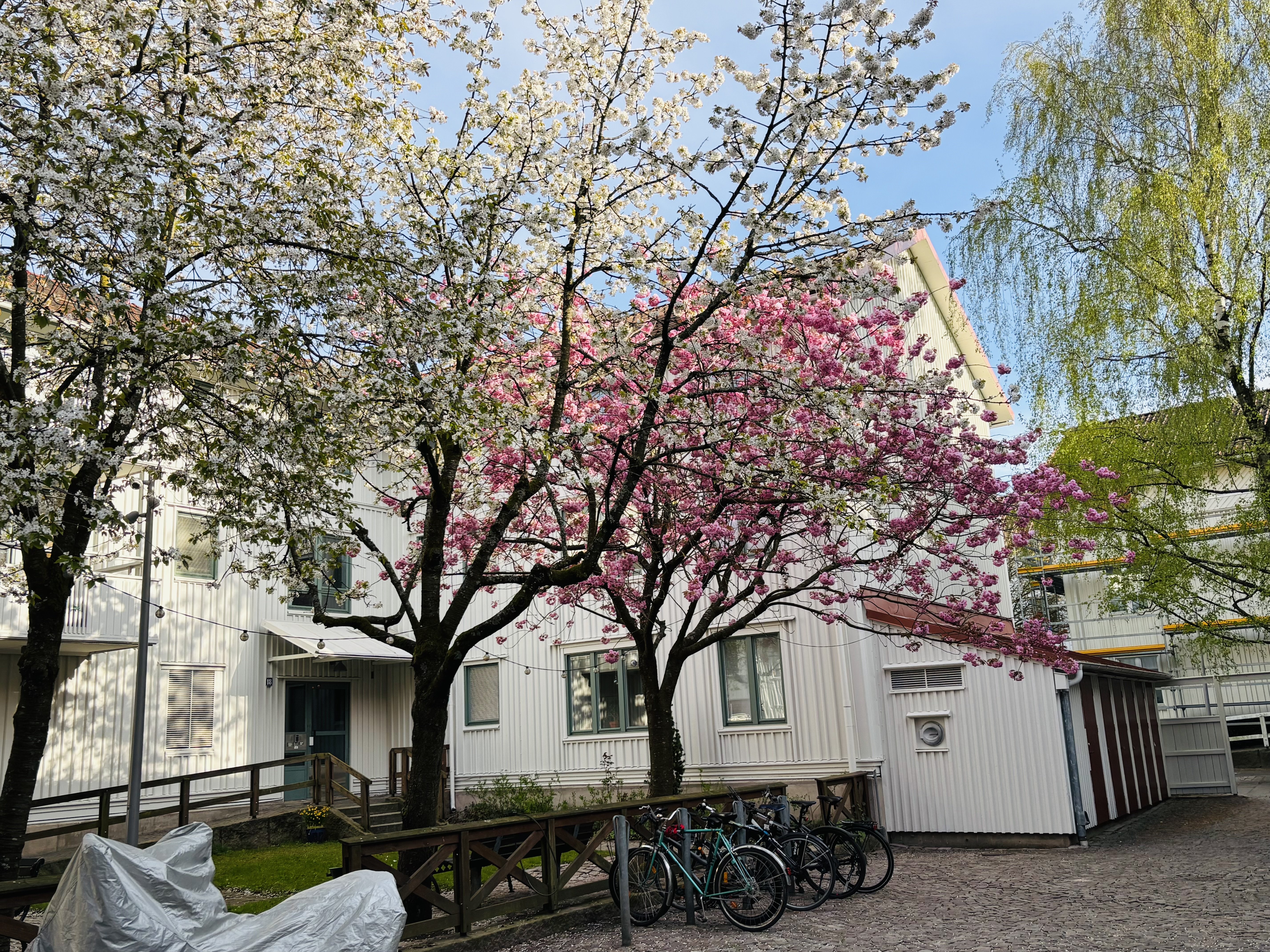 Haga Nygata, Göteborg — photo 2
