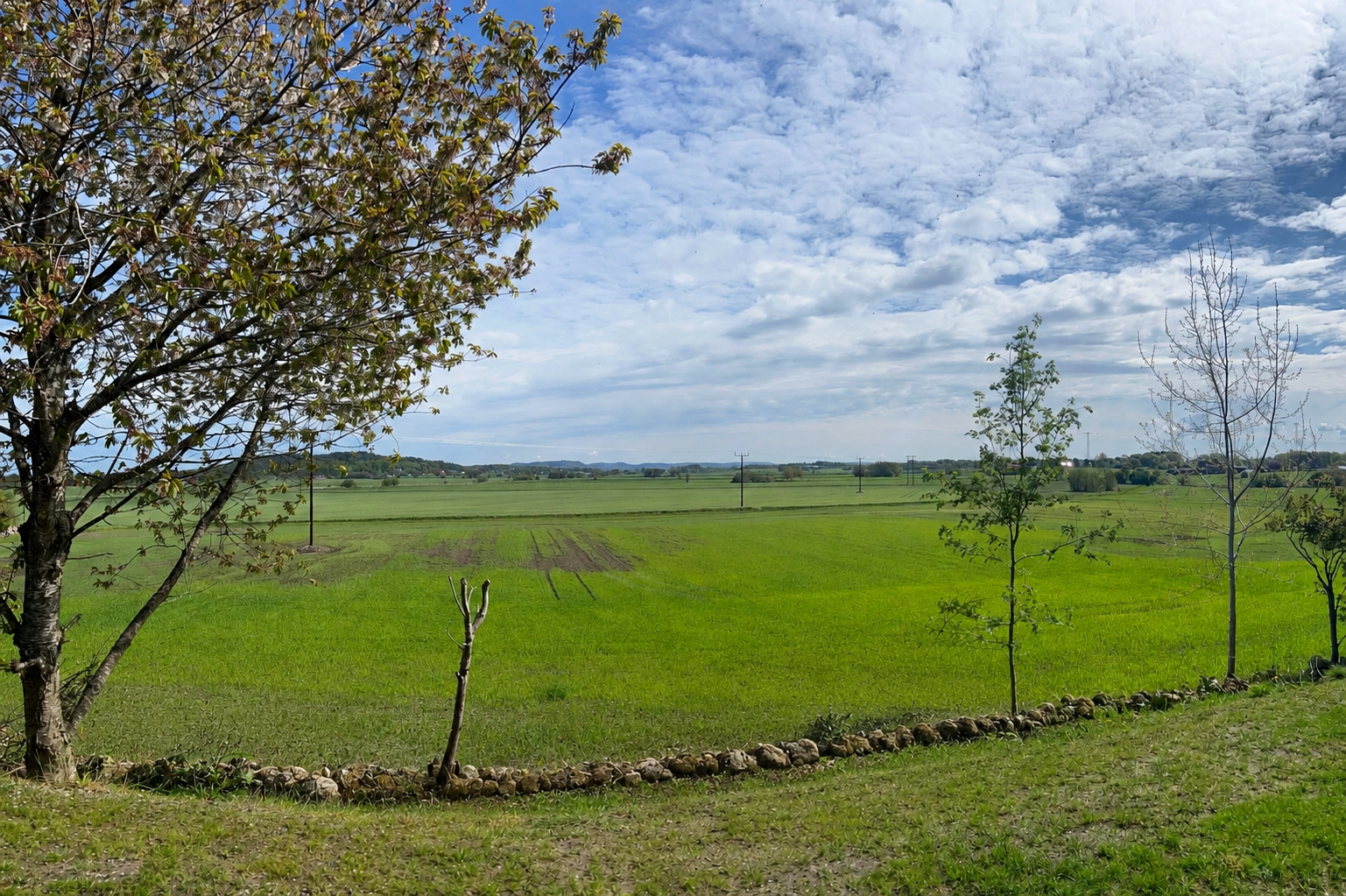 2 rok · 25 m² i Varberg – bild 14