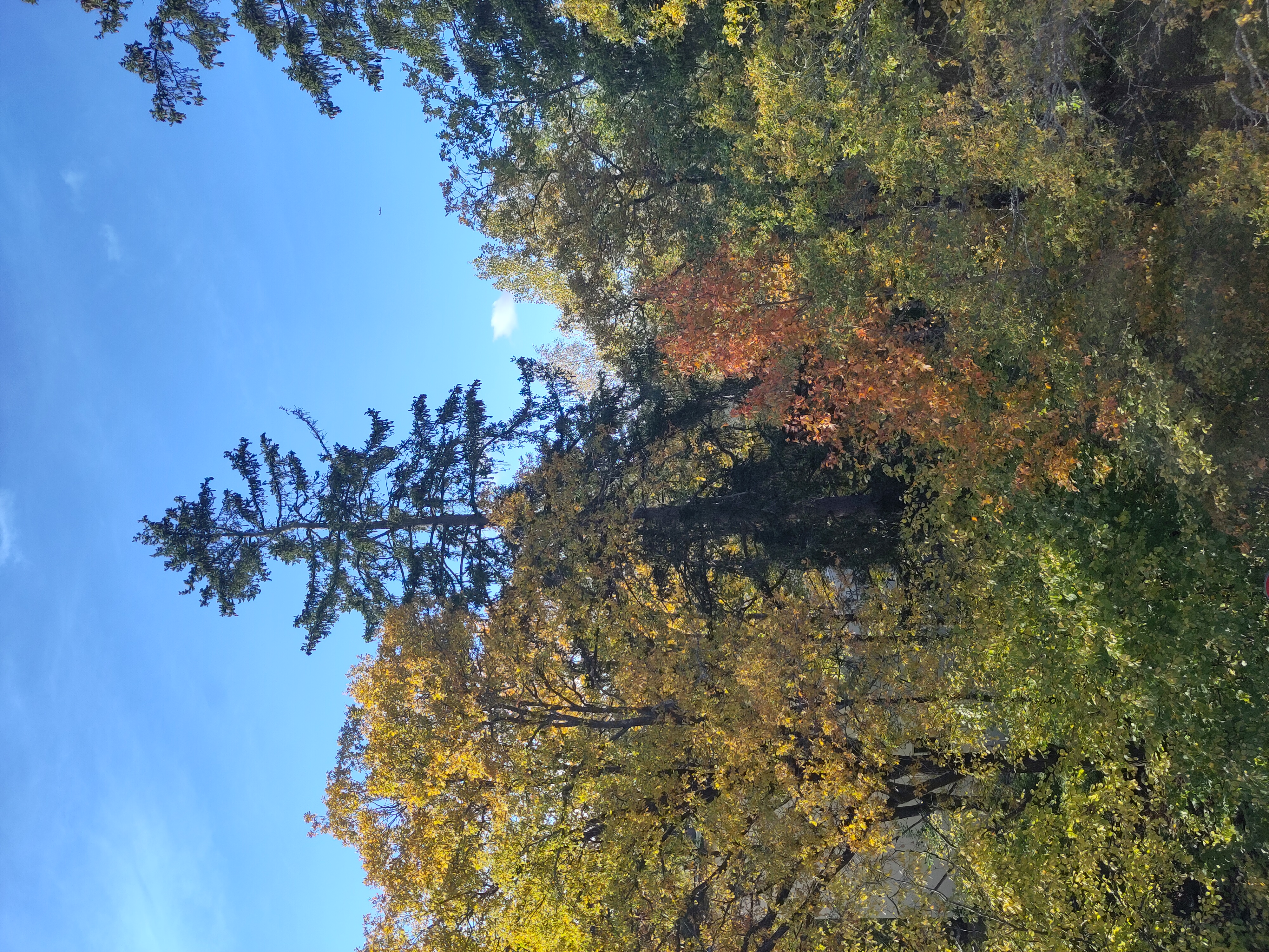 2 rum Bromma — 13 500 kr/mån | Bostadsögat