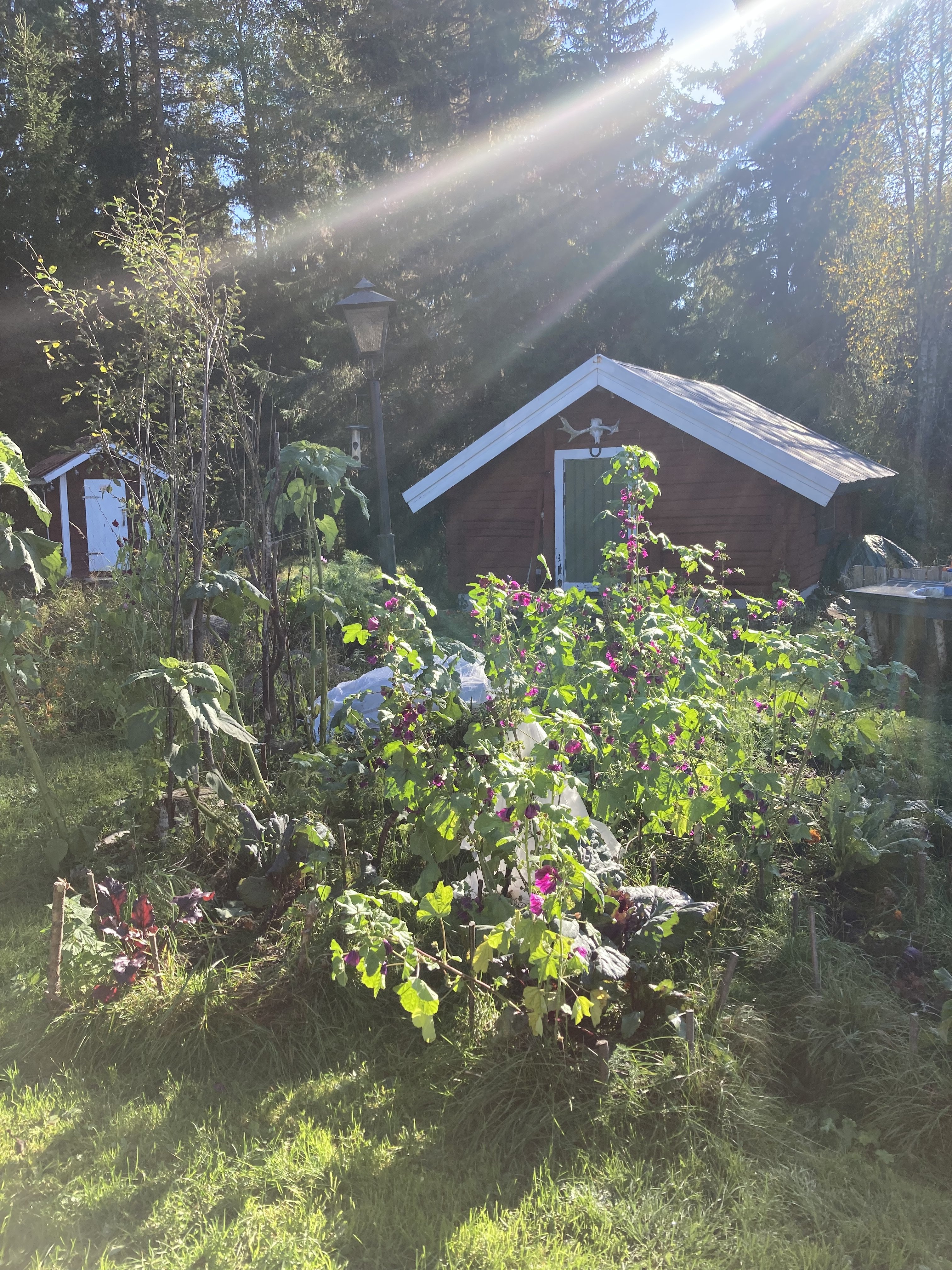 3 rok · 70 m² i Svärdsjö – bild 5