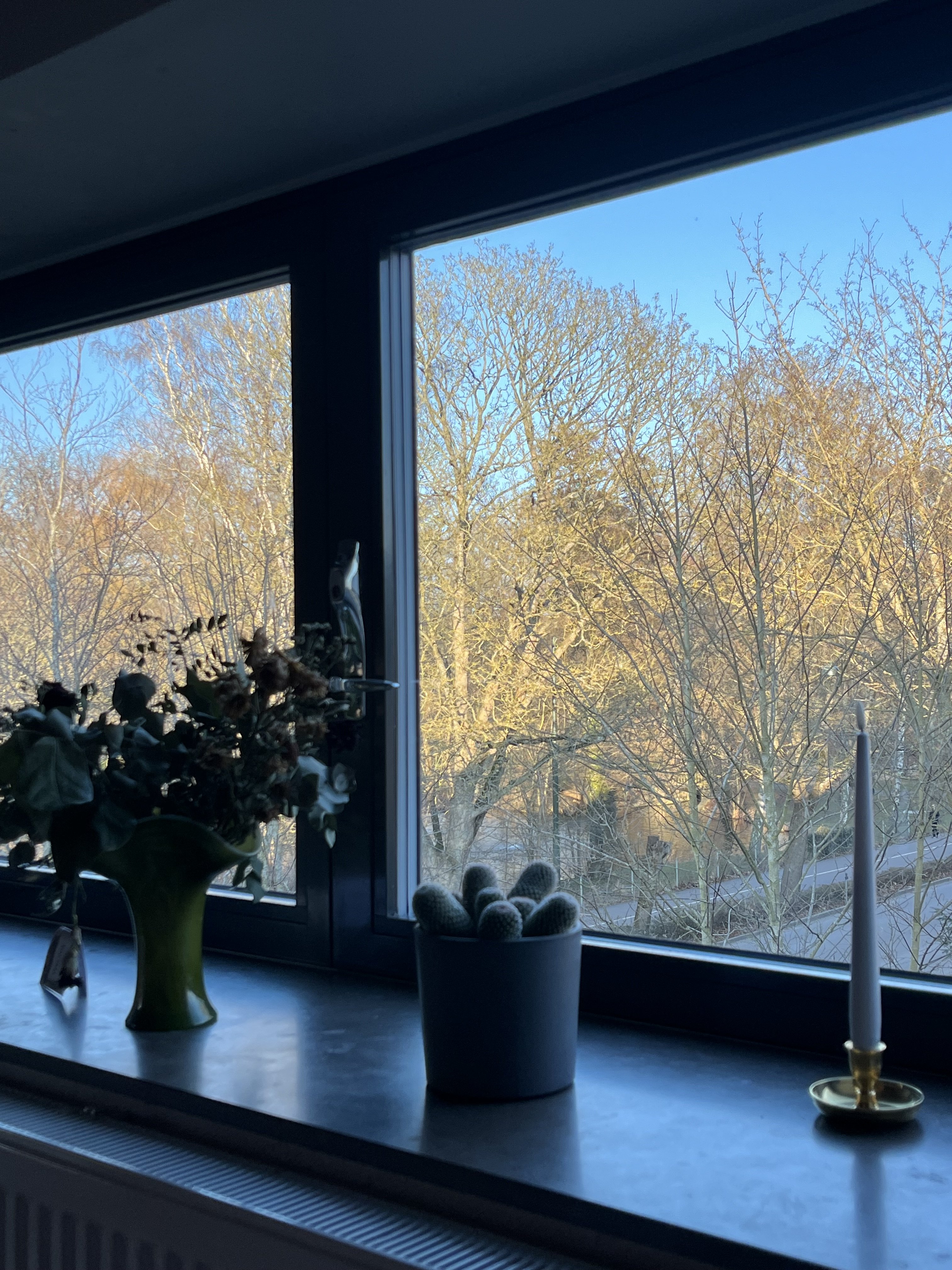 Arkivgatan, Lund — photo 2