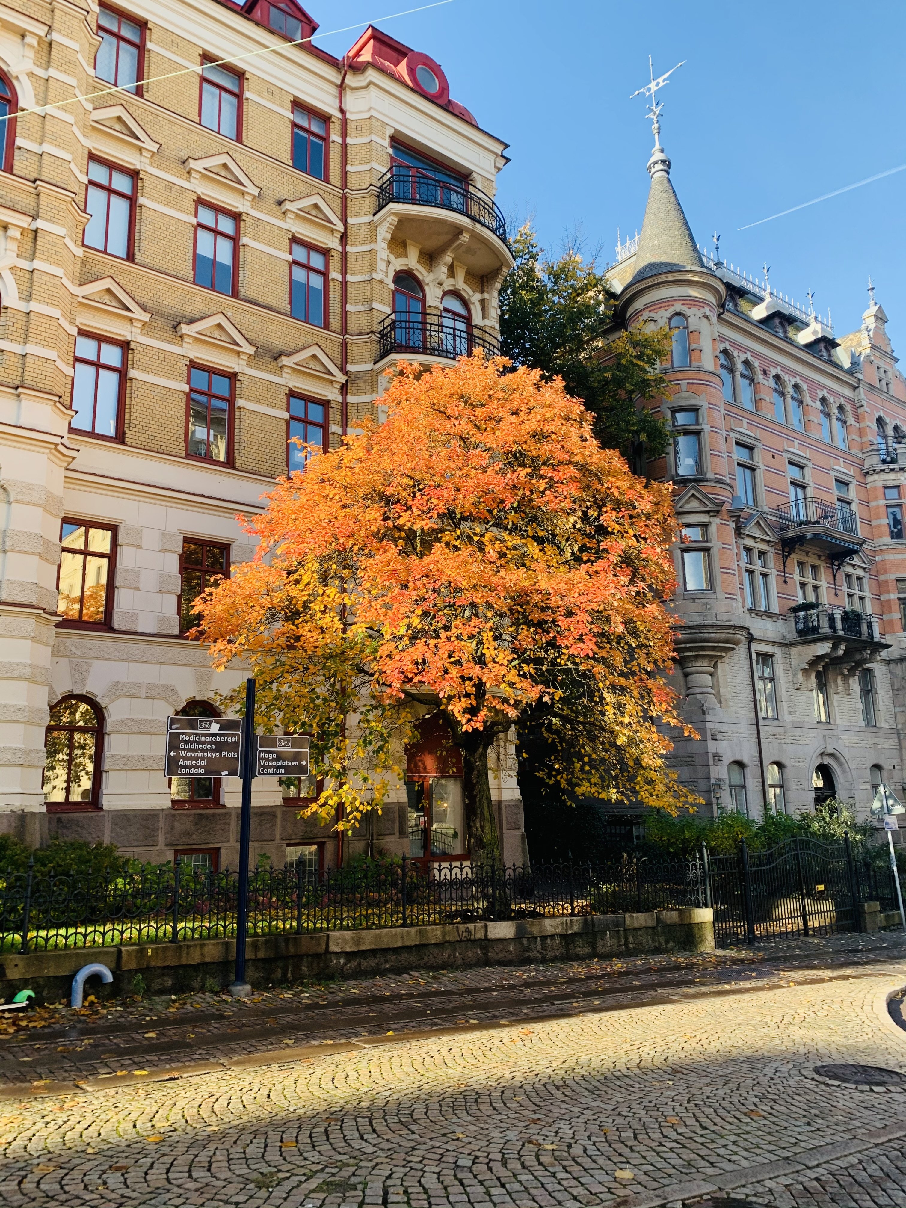 Viktoriagatan