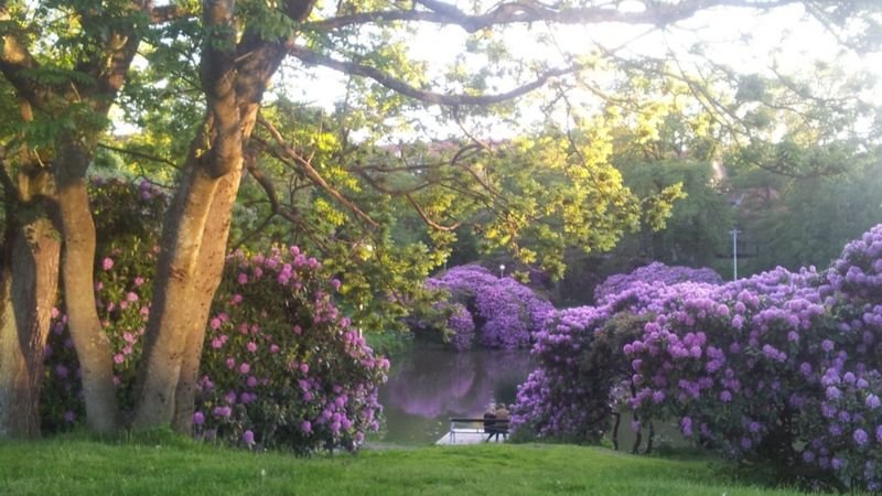 Eklandagatan, Göteborg — photo 2