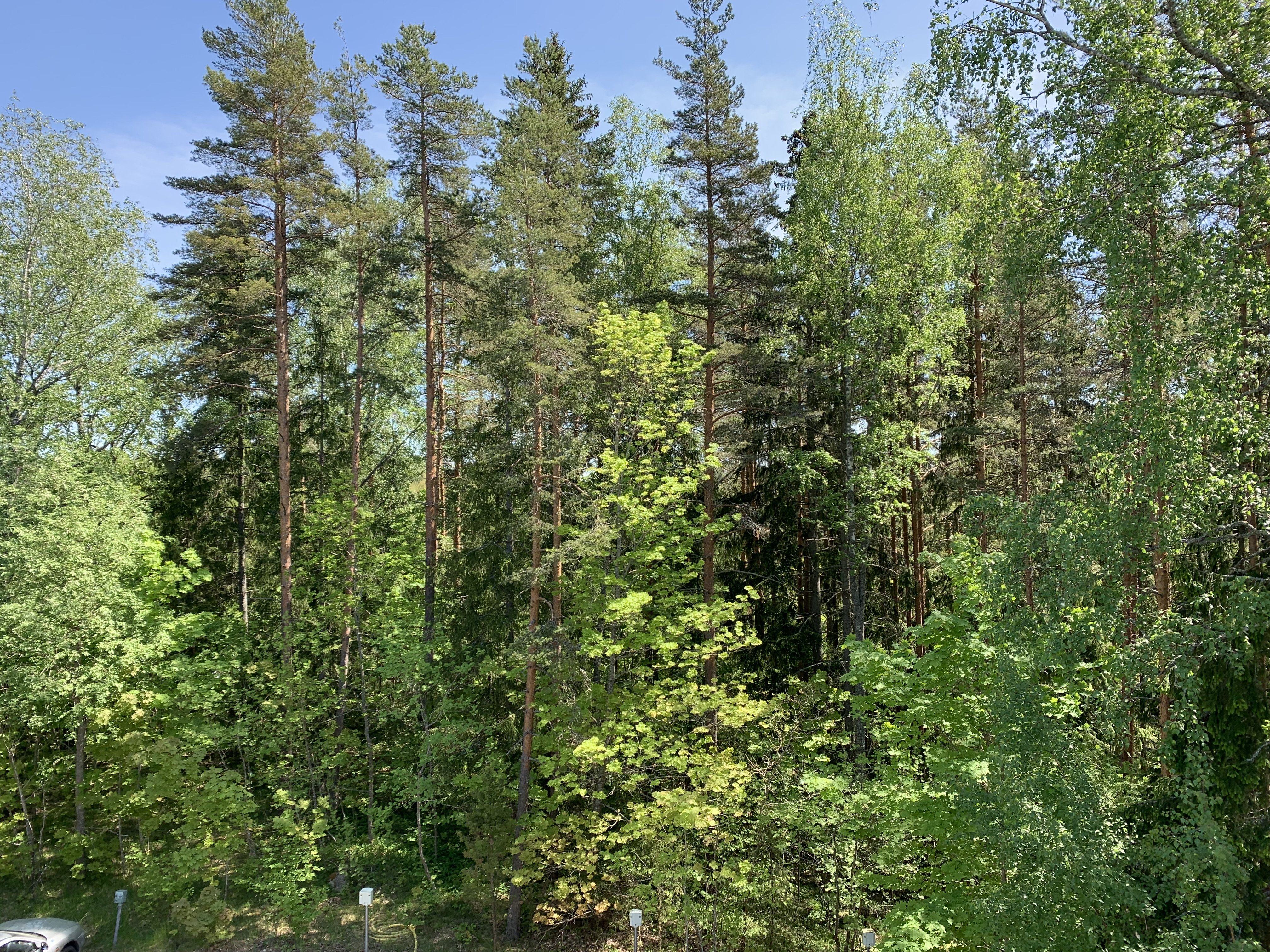 Rauhalliselle sijainnilla toimiva koti 2