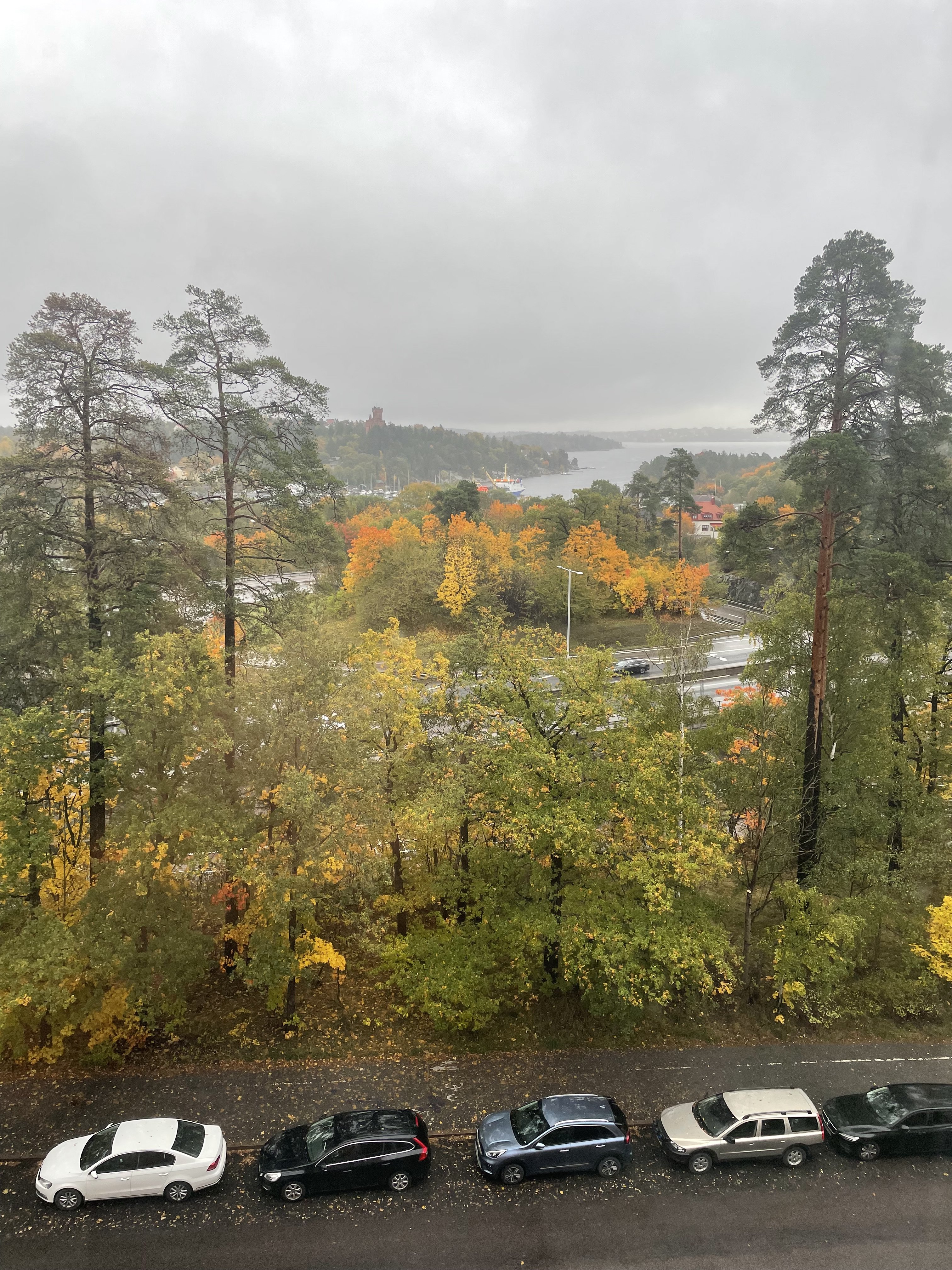Rådjursstigen
