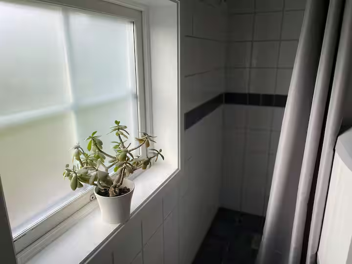 1 rok · 30 m² i Grevie – bild 7