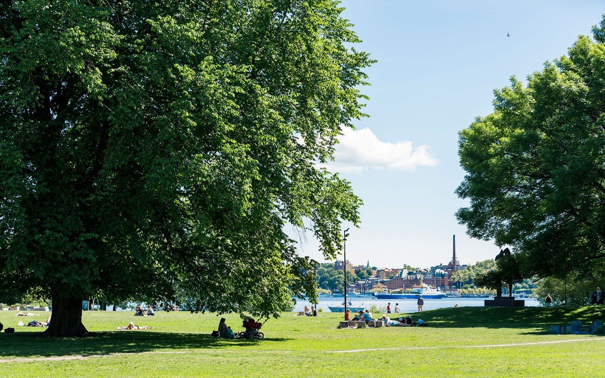 Drottningholmsvägen