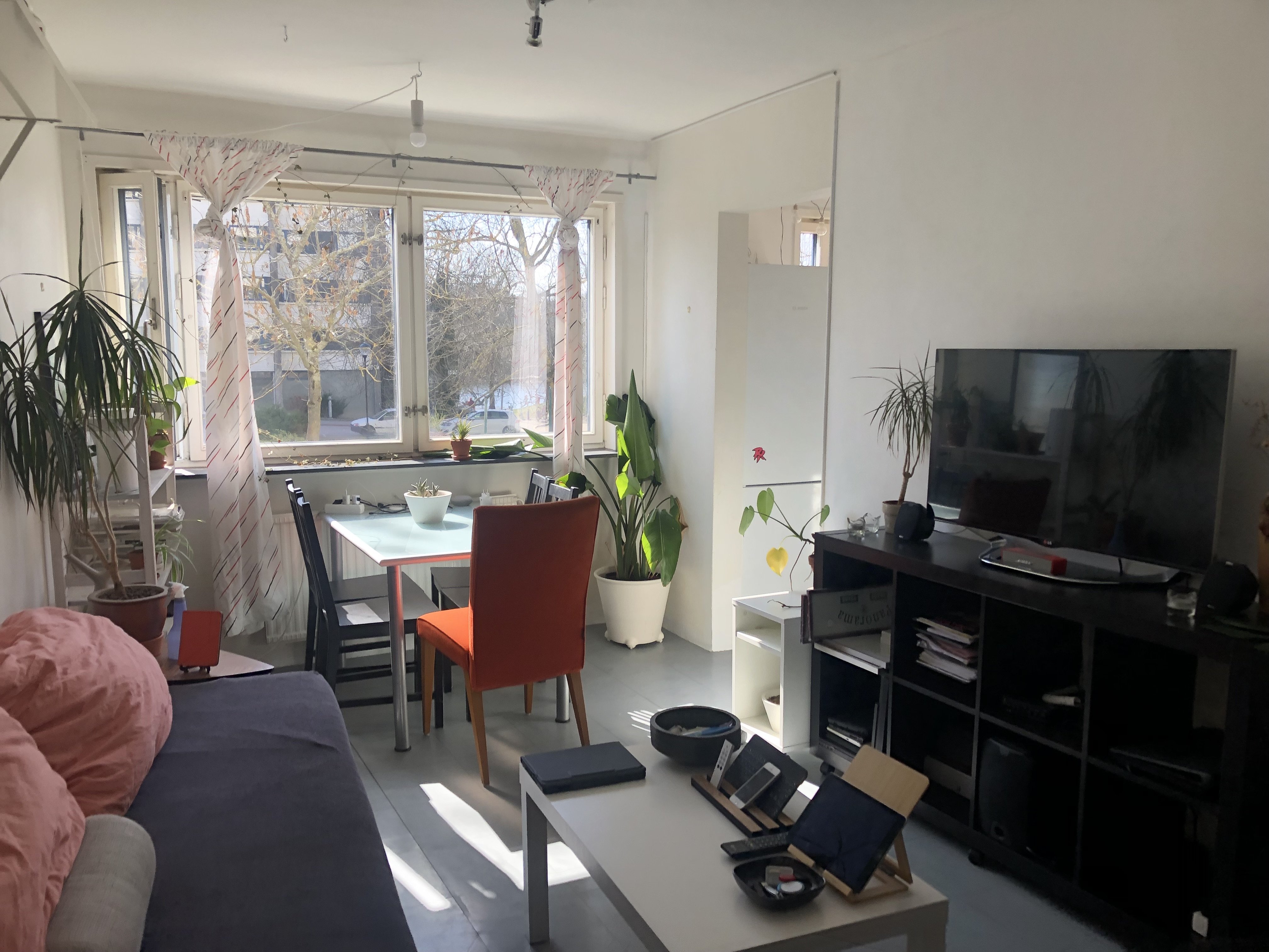 Tantogatan, Stockholm — photo 4