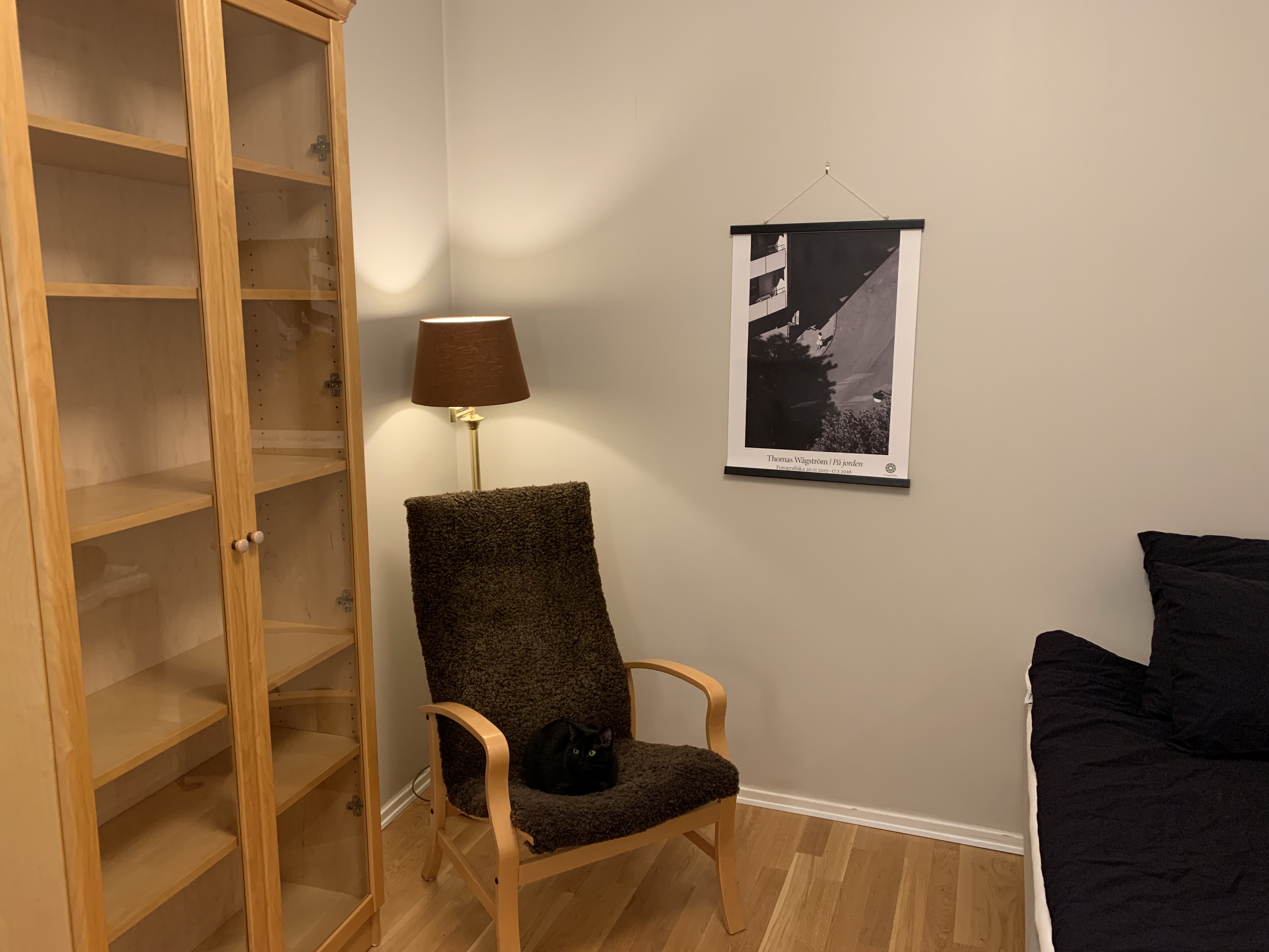 Hagforsgatan, Göteborg — photo 3