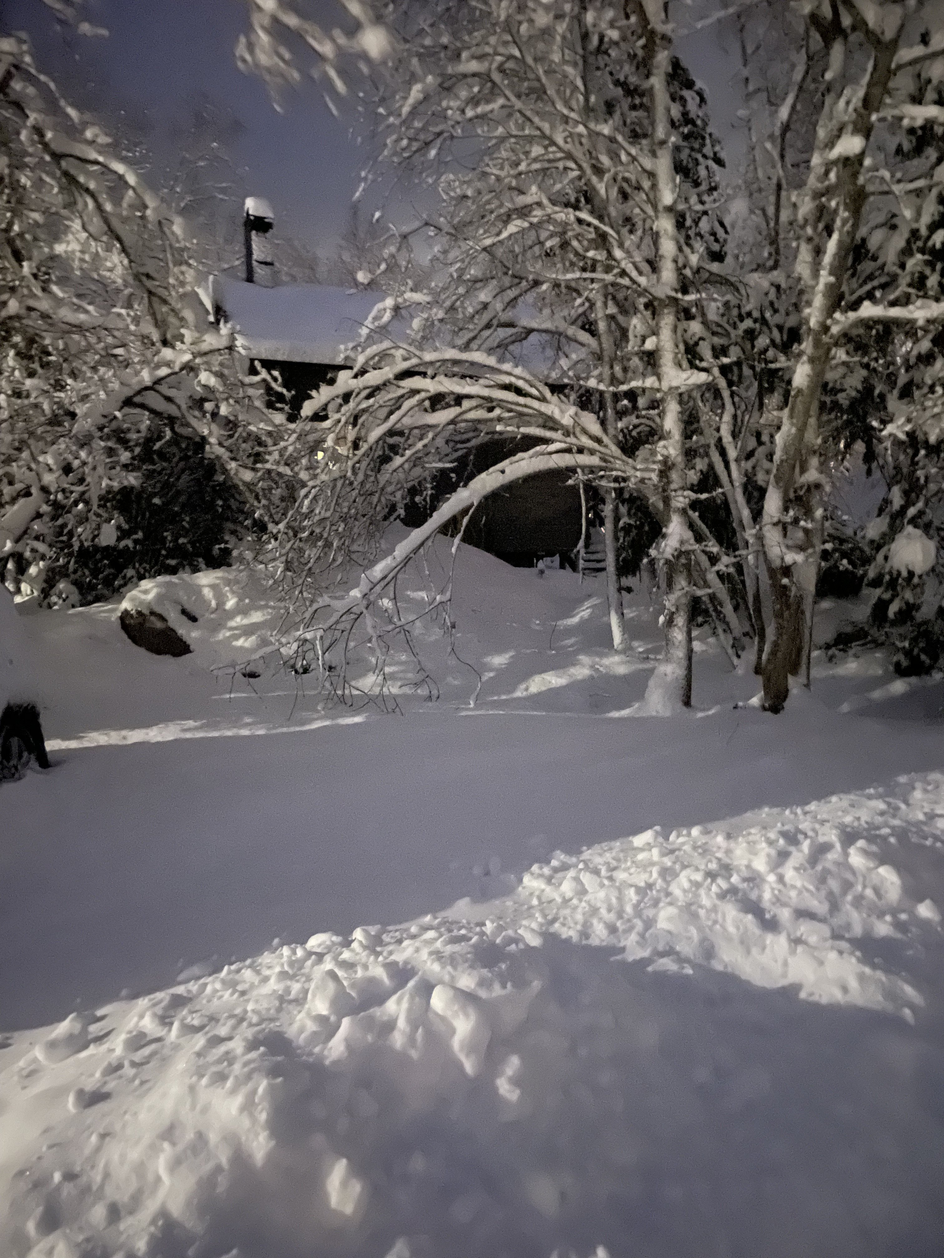 Lagerbäcksvägen i Ingarö