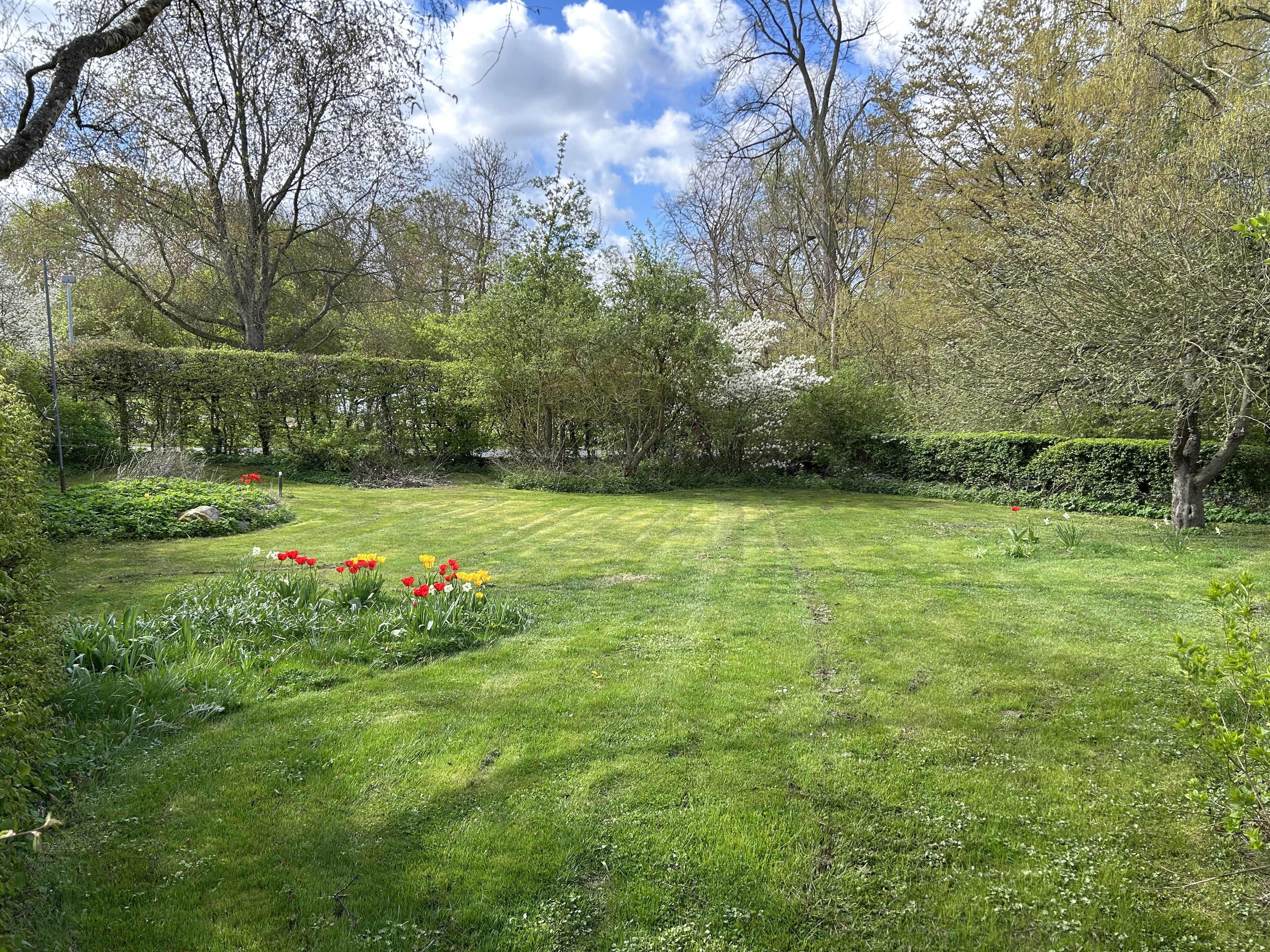 Radhusvägen 6, Alnarp — photo 3