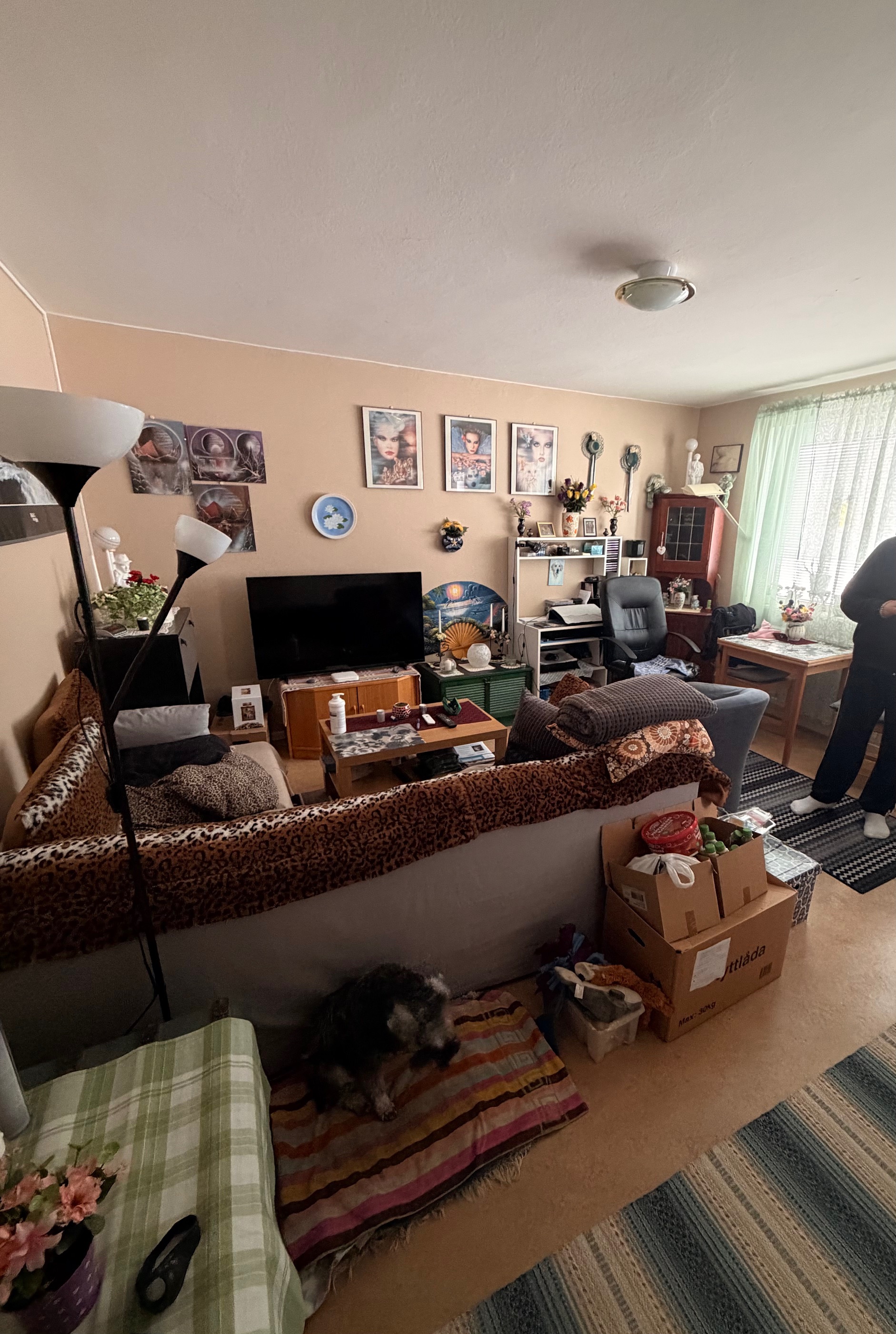 1 rum Skärholmen — 6 269 kr/mån | Bostadsögat