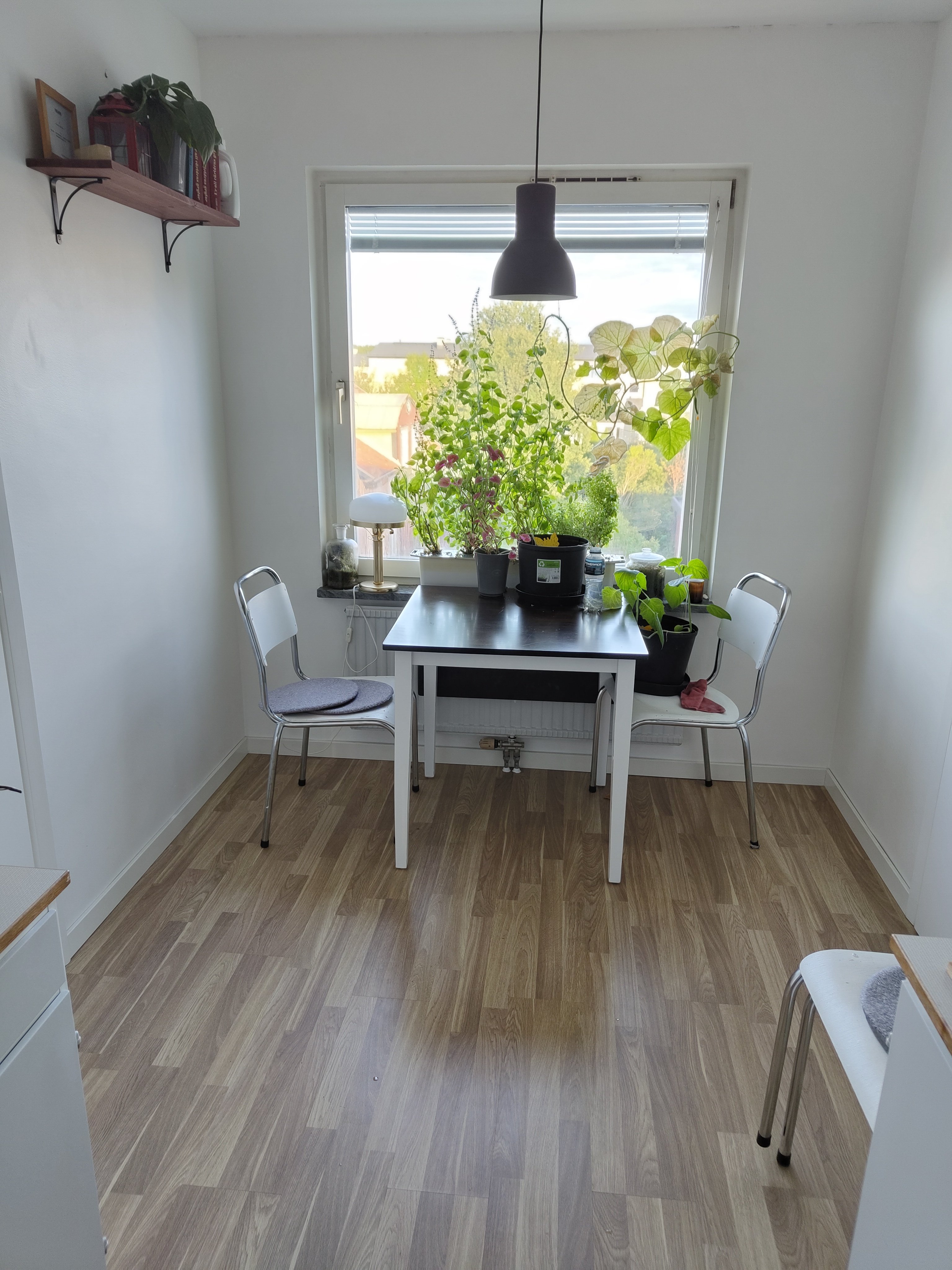 Stabby allé, Uppsala