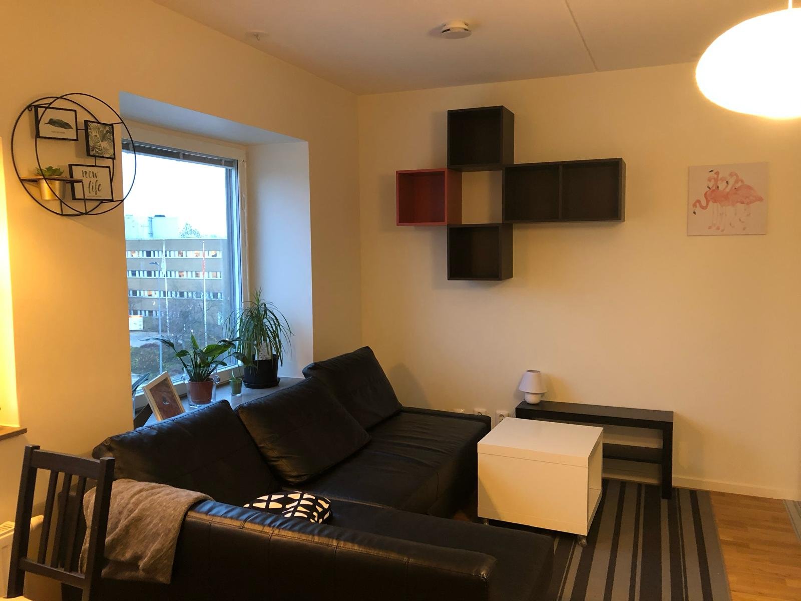 Scheelevagen, Lund — photo 3