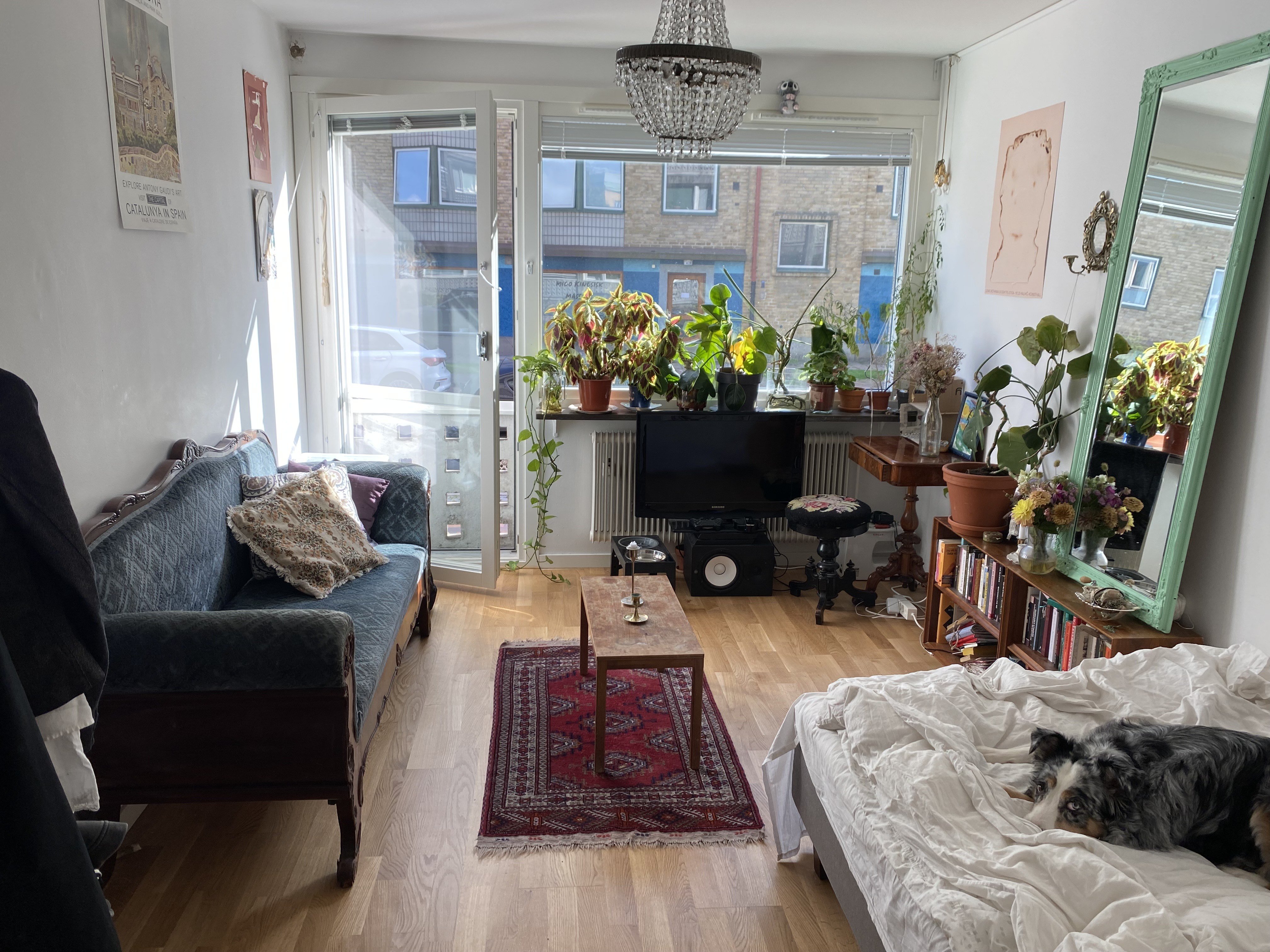 Lägenhet, 1 rum, 21 kvm, Malmö