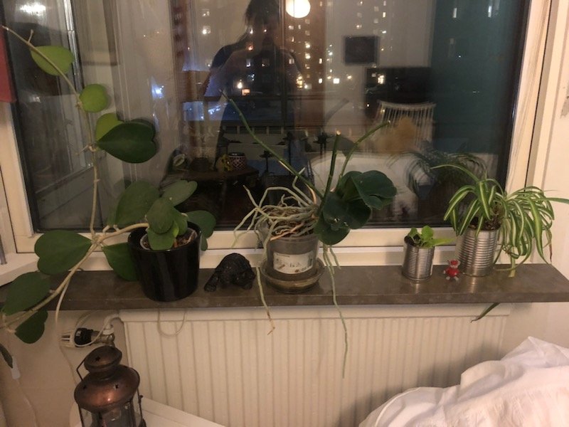 1 rum och kök, Högsbo, 5 250 kr/mån, bild 4