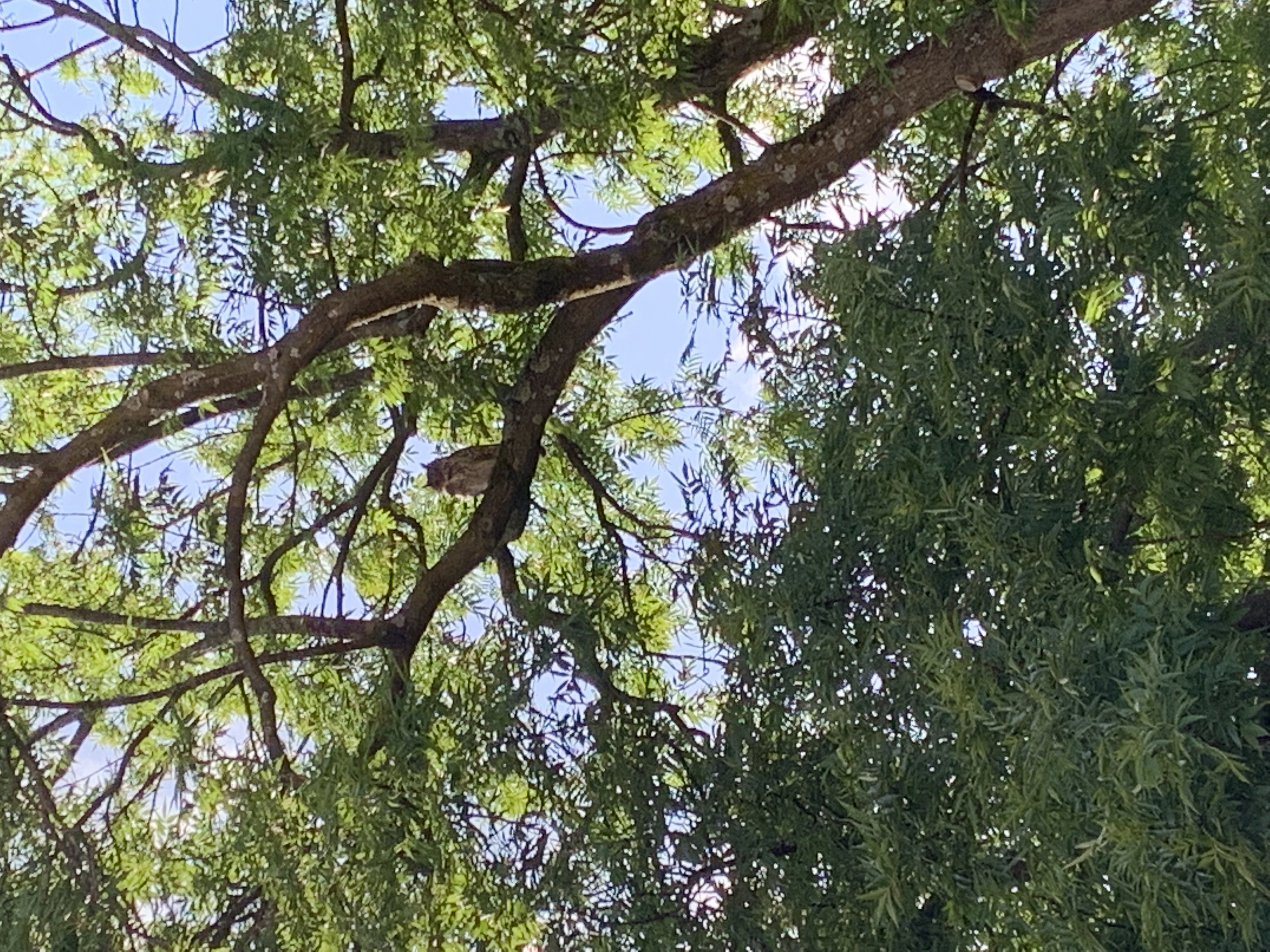 Viktoriagatan, Göteborg — photo 3