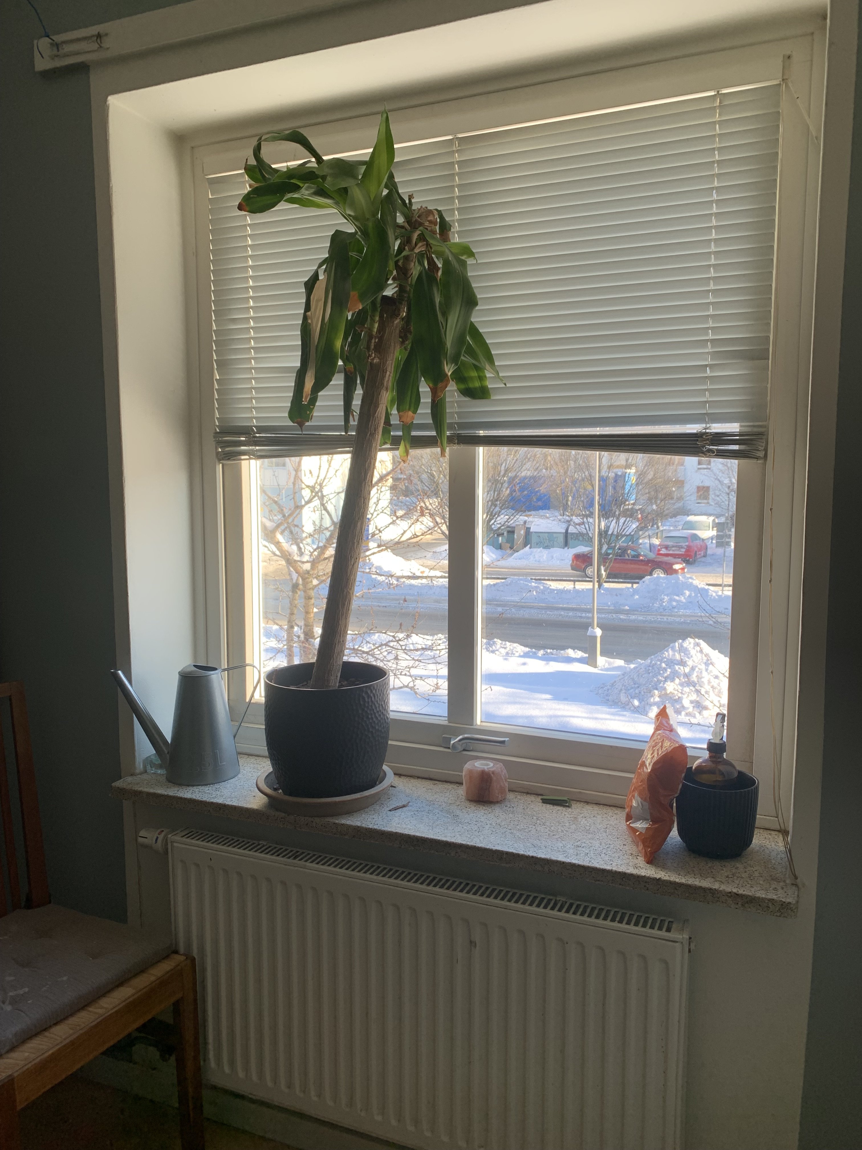 Blidvädersgatan, Göteborg — photo 4