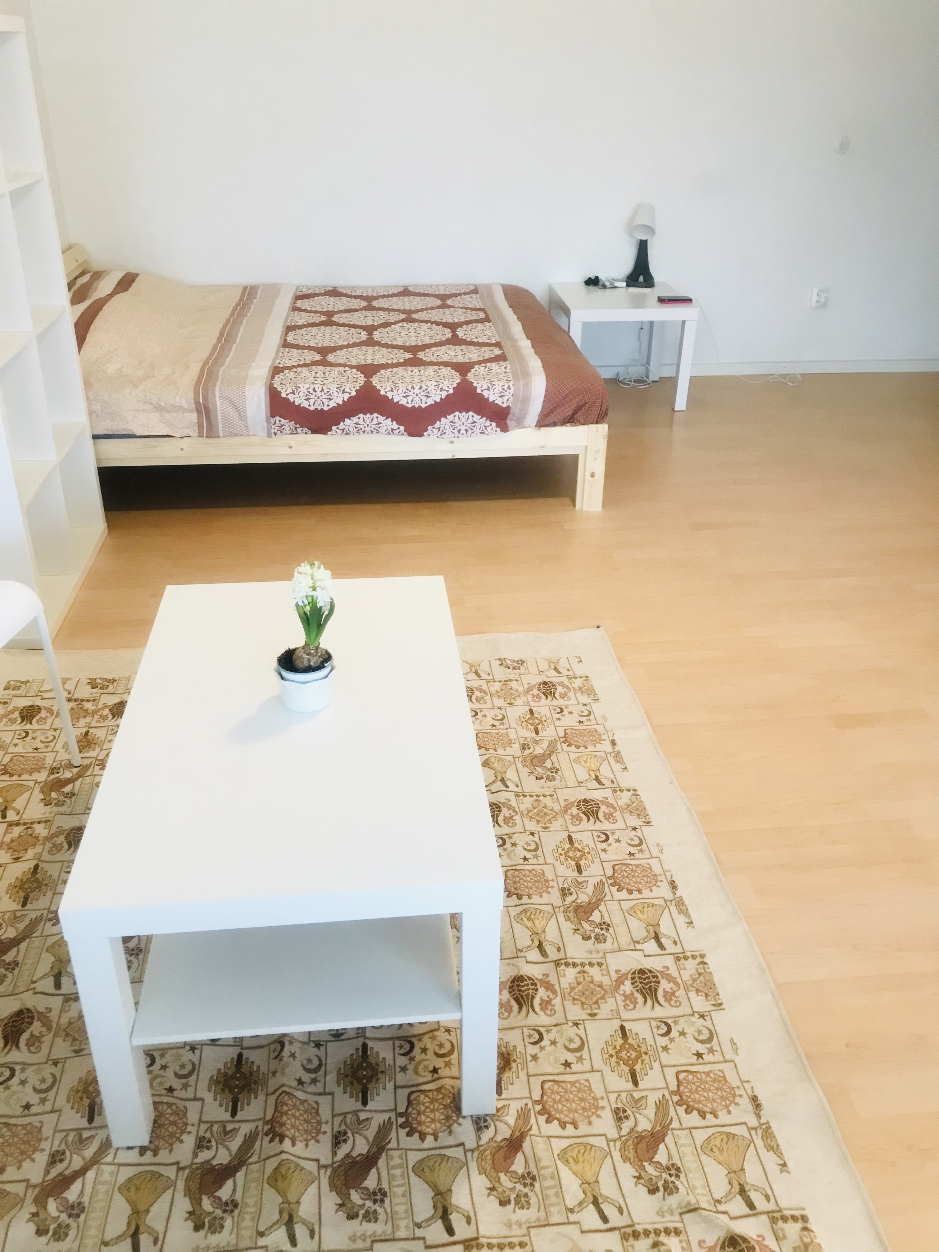 Skjutbanegatan , Västerås — photo 5