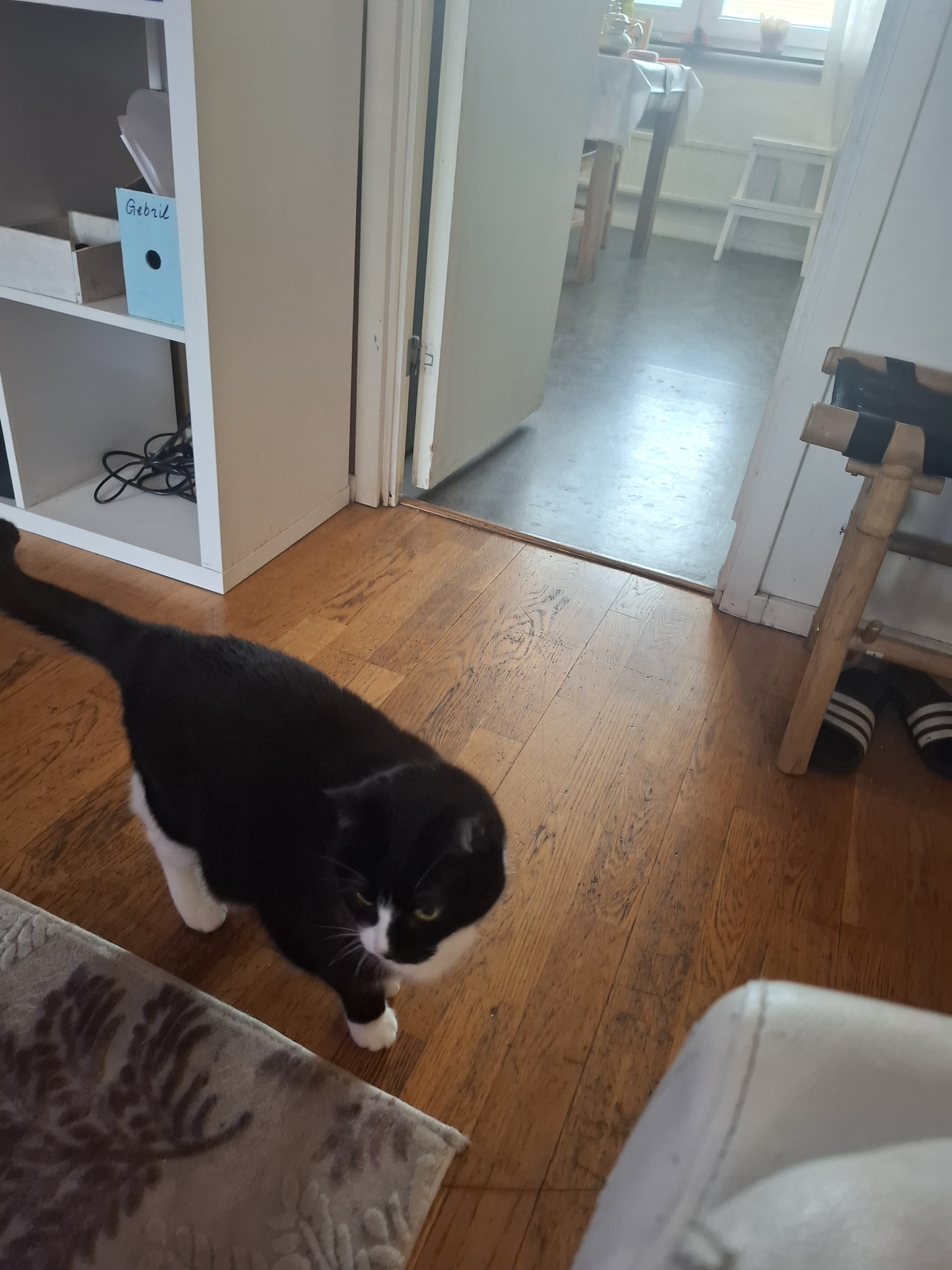 Lägenhet, 1 rooms, 15 sqm, Kista