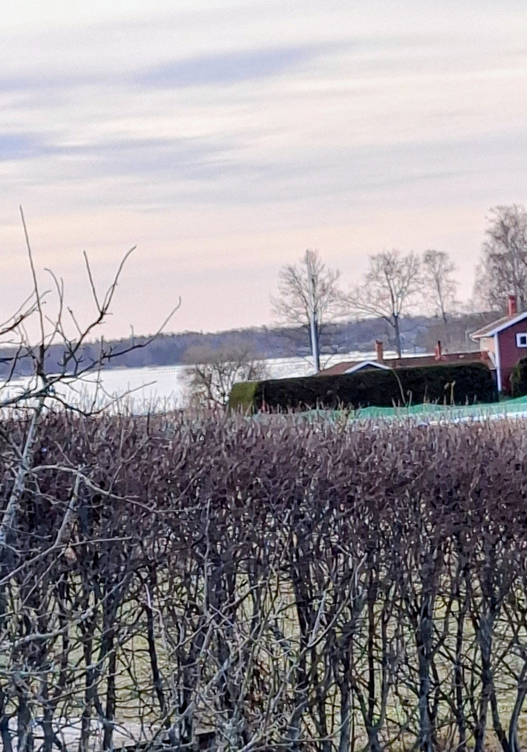 Ängsvägen