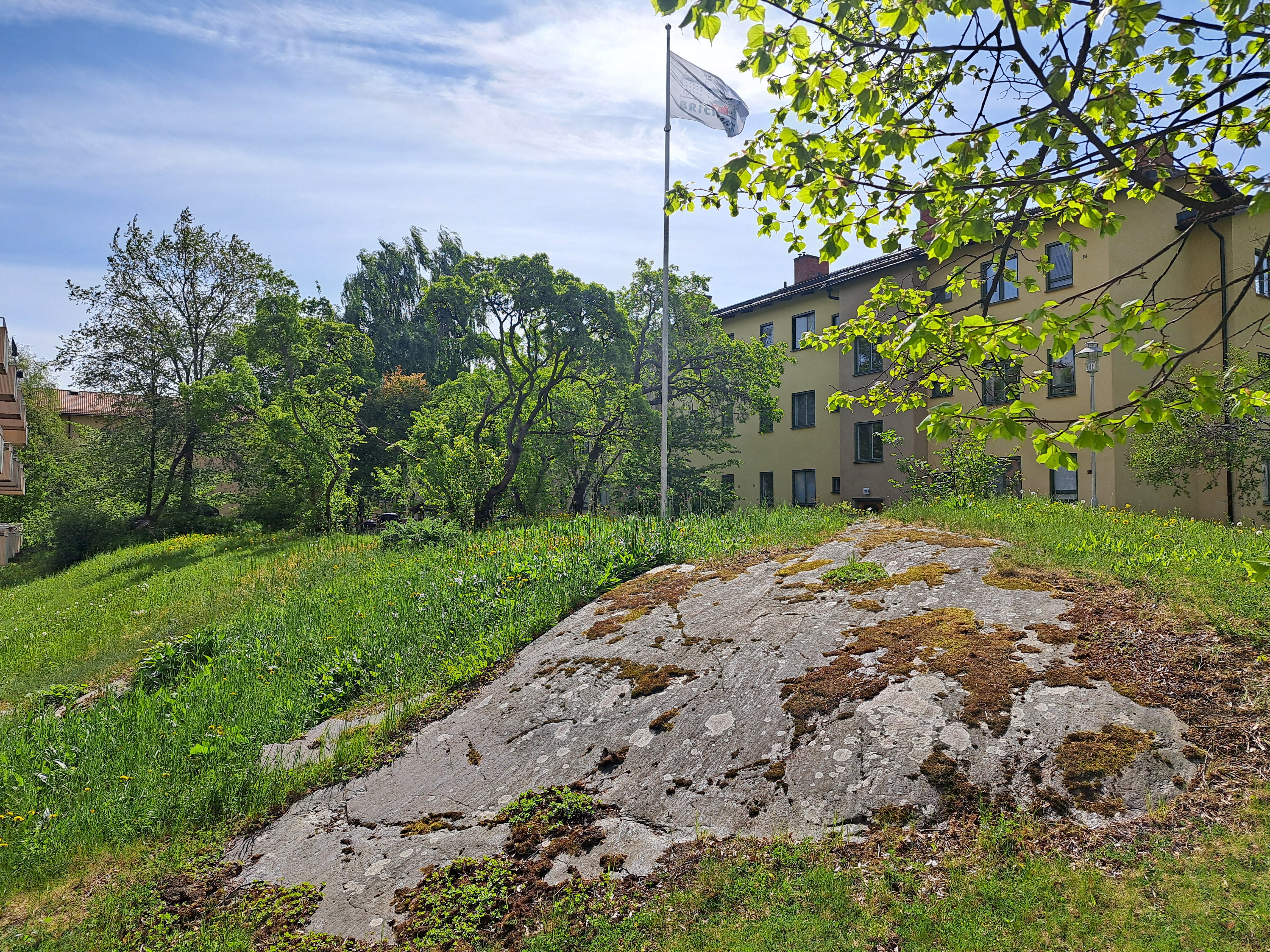 Dukvägen, Stockholm — photo 5