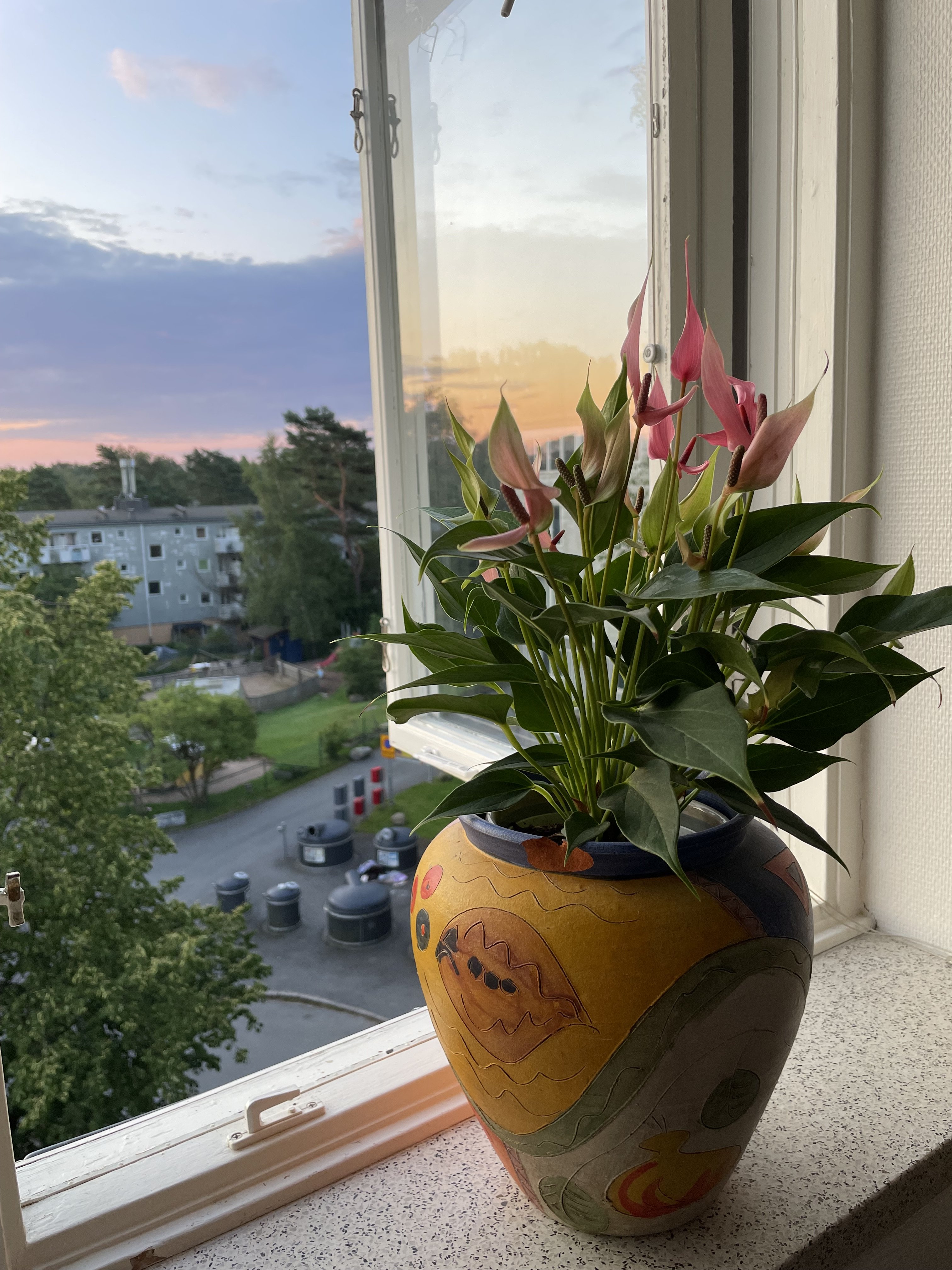 Februari gatan , Göteborg