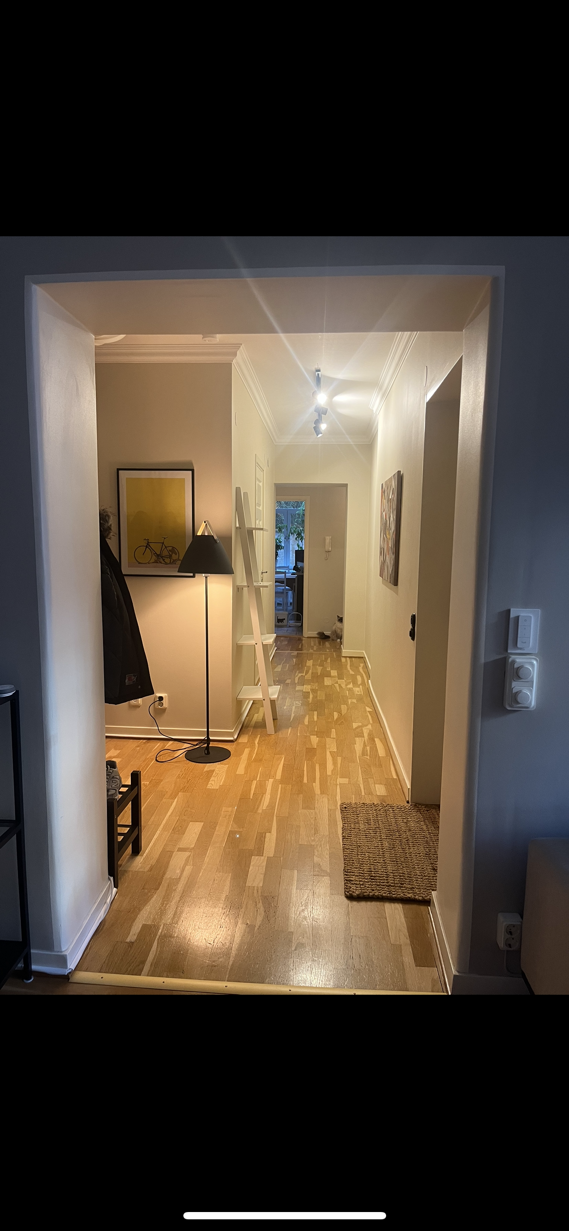 Viktoriagatan, Göteborg — photo 4