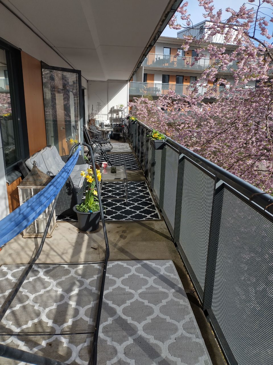 Rundbäcksgatan, Göteborg — photo 4