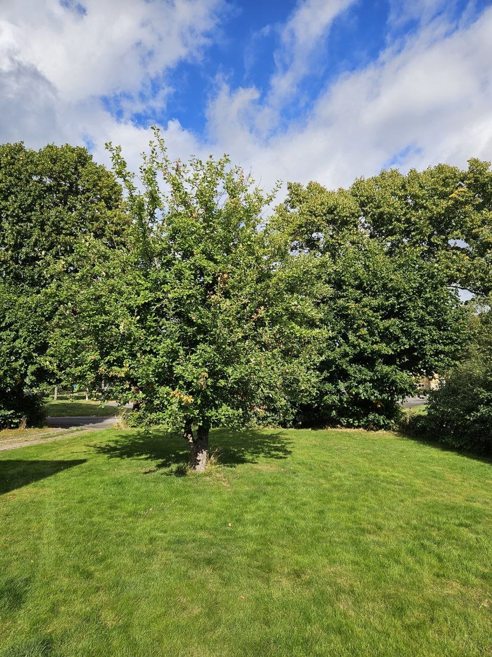 Hus – Tranemo kommun, Lindrum - Bild 2