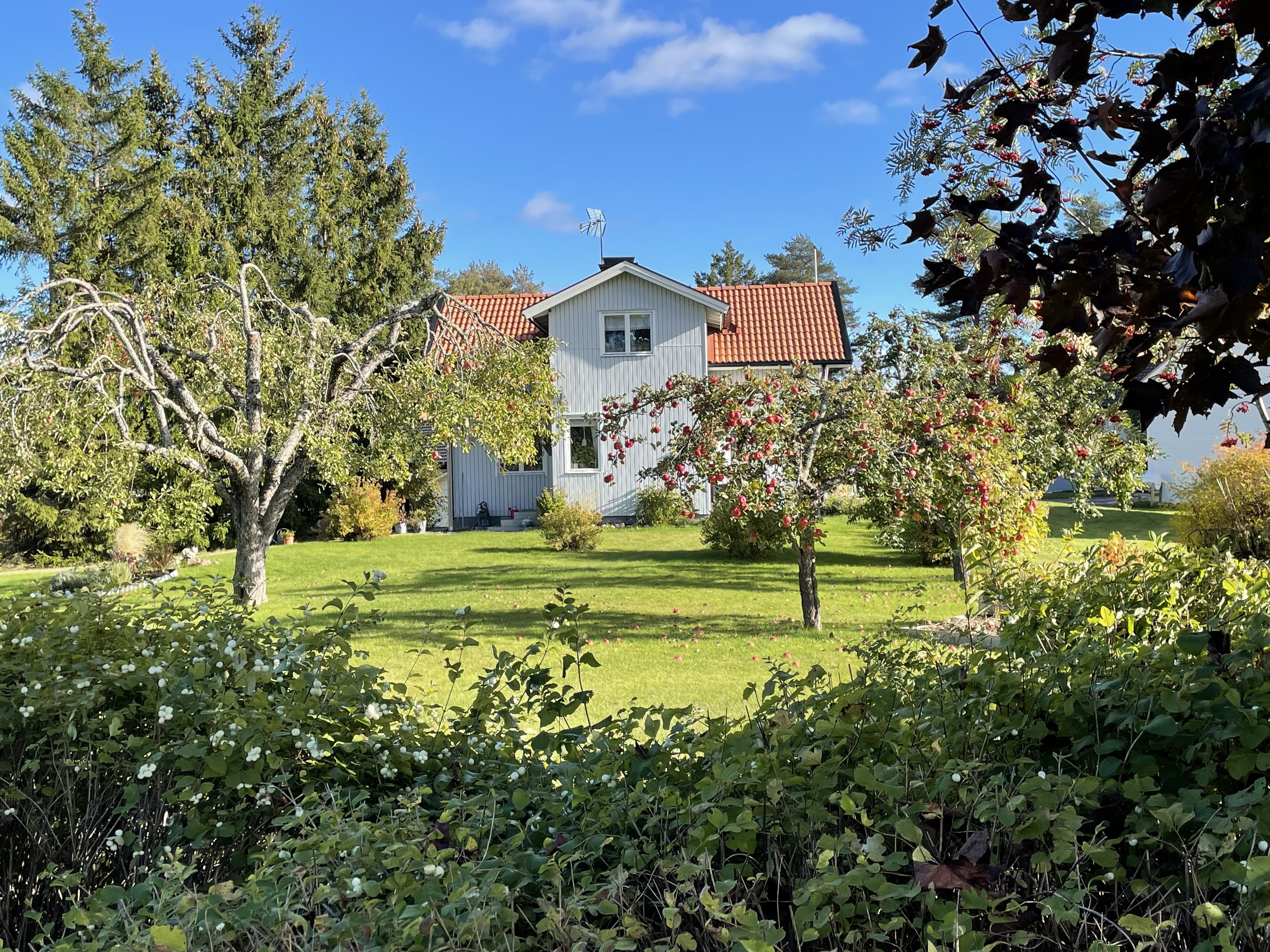 Villa/Hus, 4 rooms, 60 sqm, Harbo