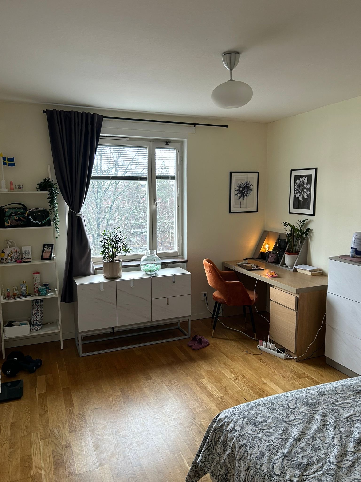 Astrakangatan, Hässelby