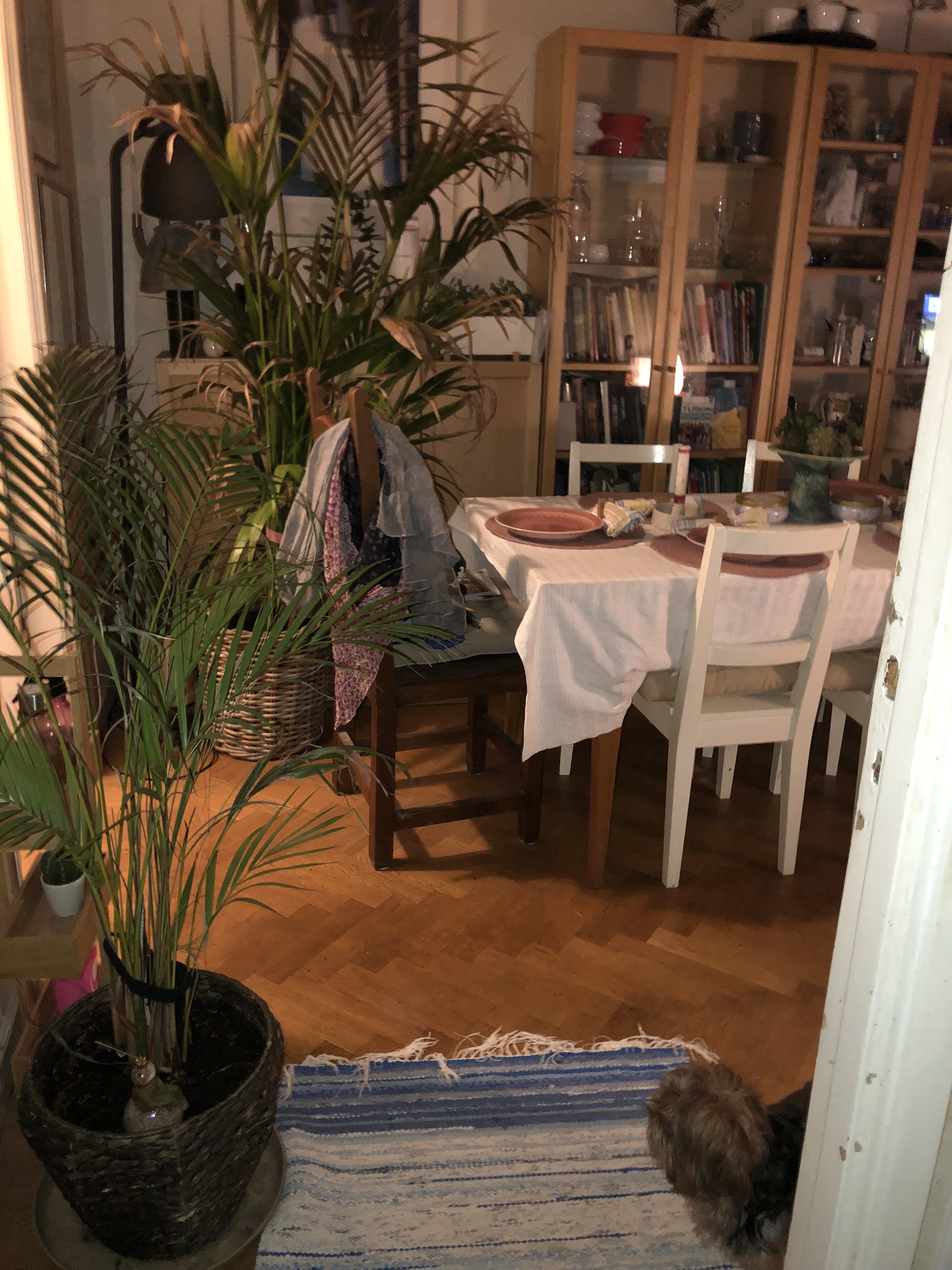 1 rok · 10 m² i Stockholm – bild 15